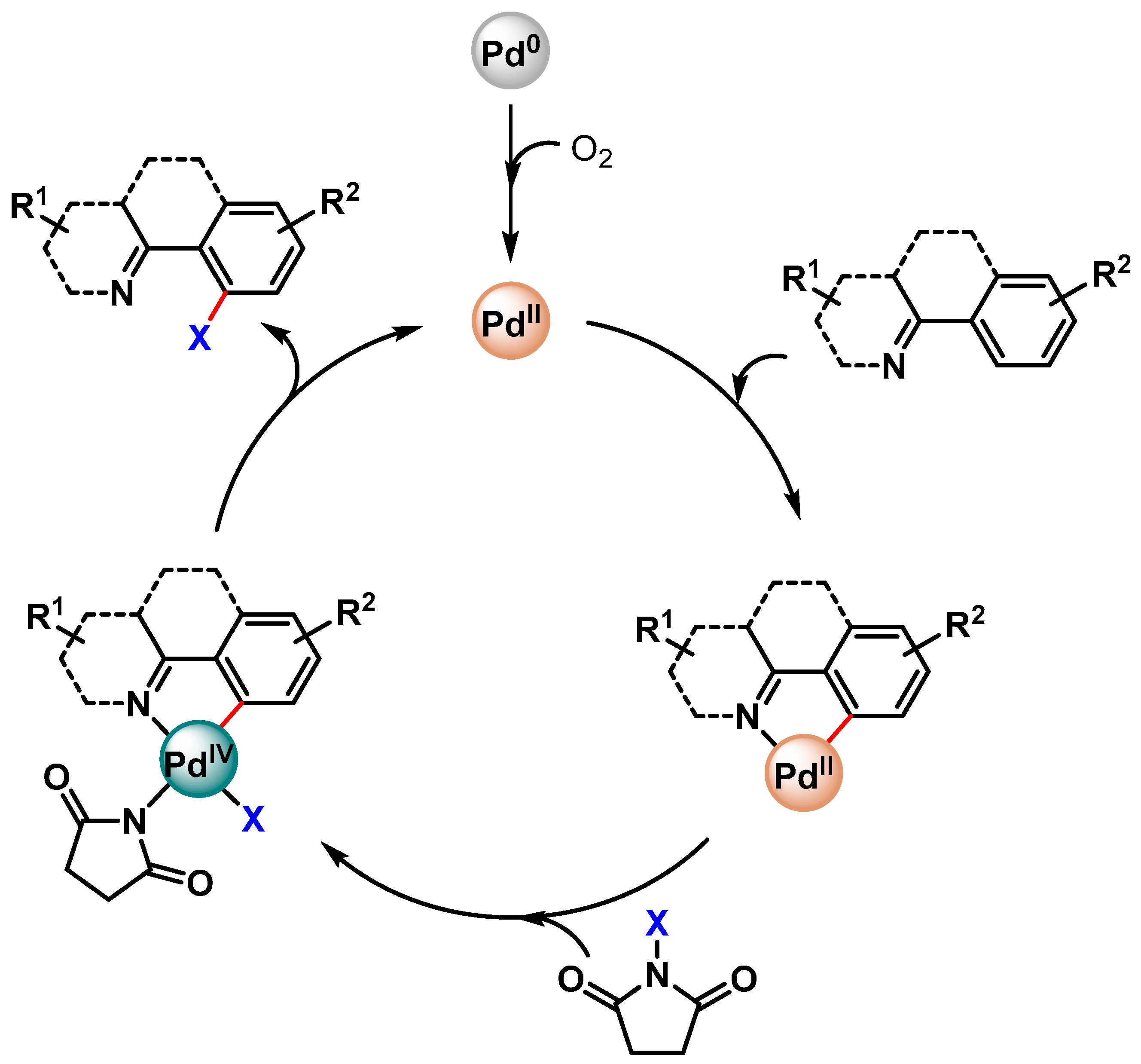 Catalysts 13 00016 sch024