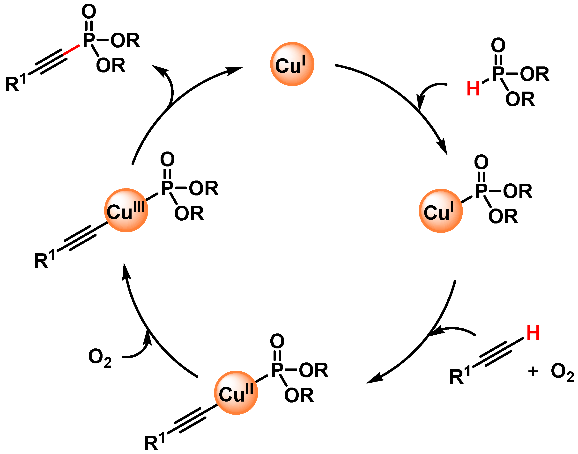 Catalysts 13 00016 sch030