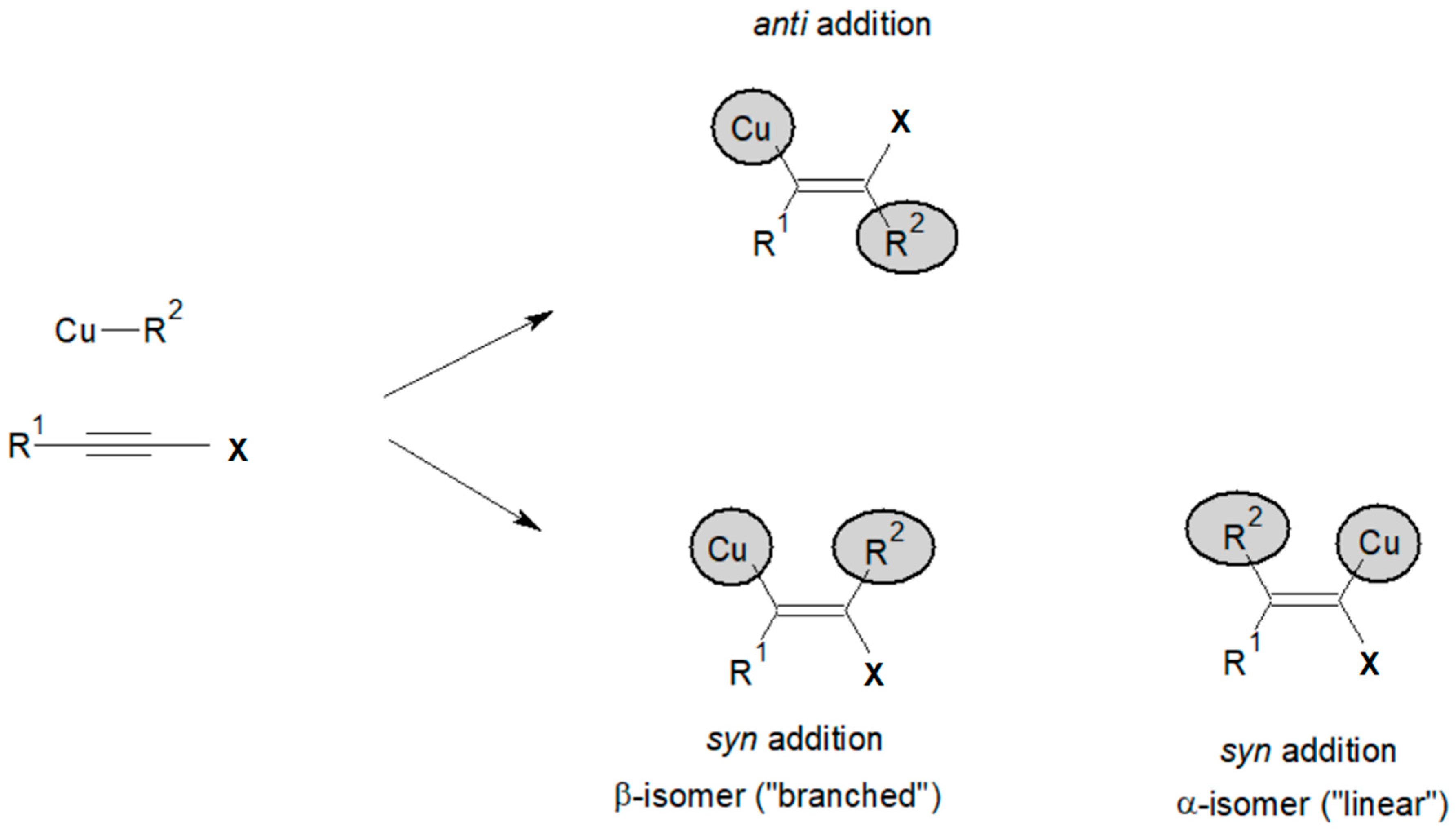 Catalysts 13 00017 g001