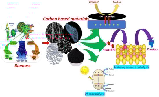 Catalysts 13 00020 g001