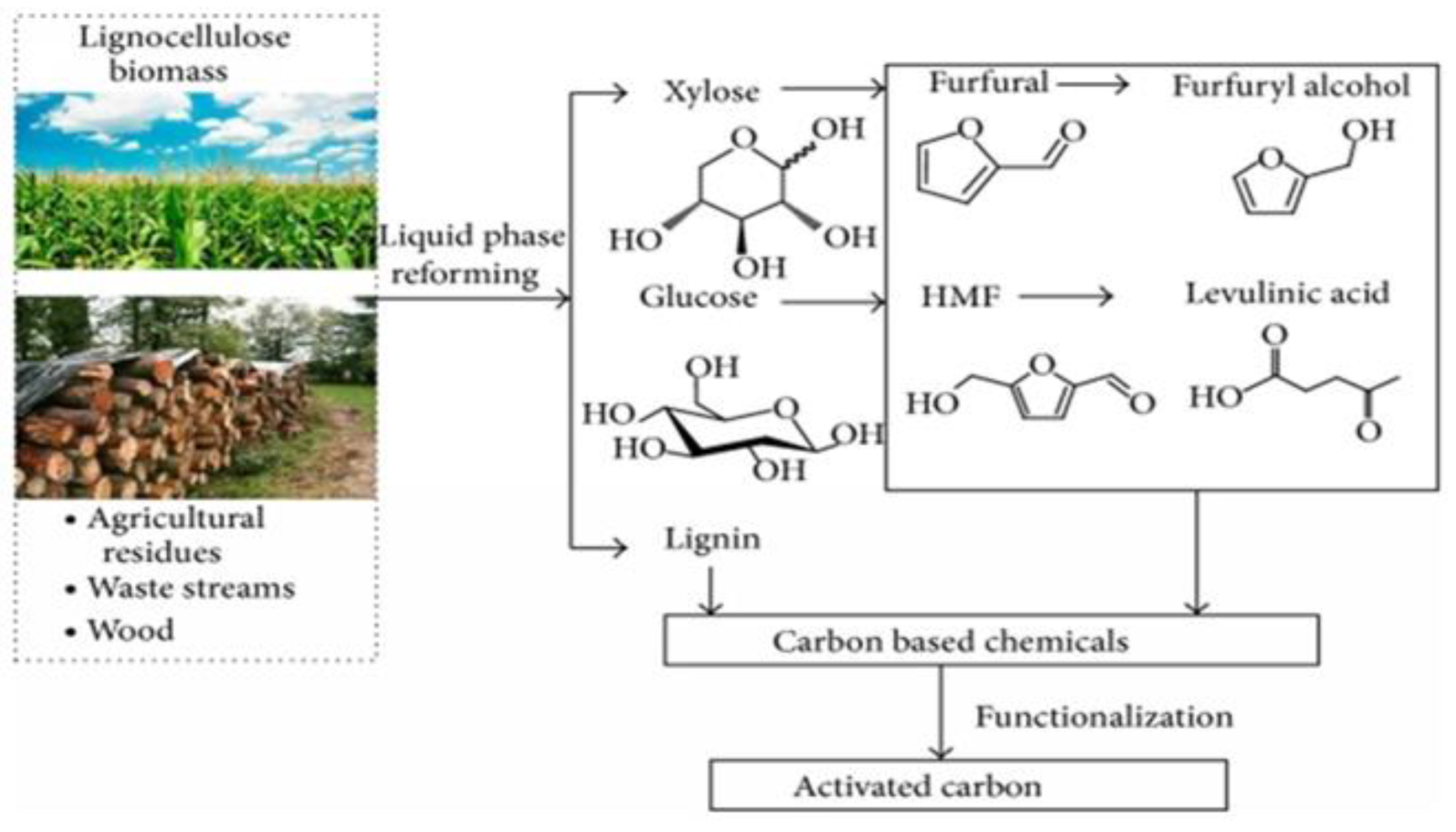 Catalysts 13 00020 g004