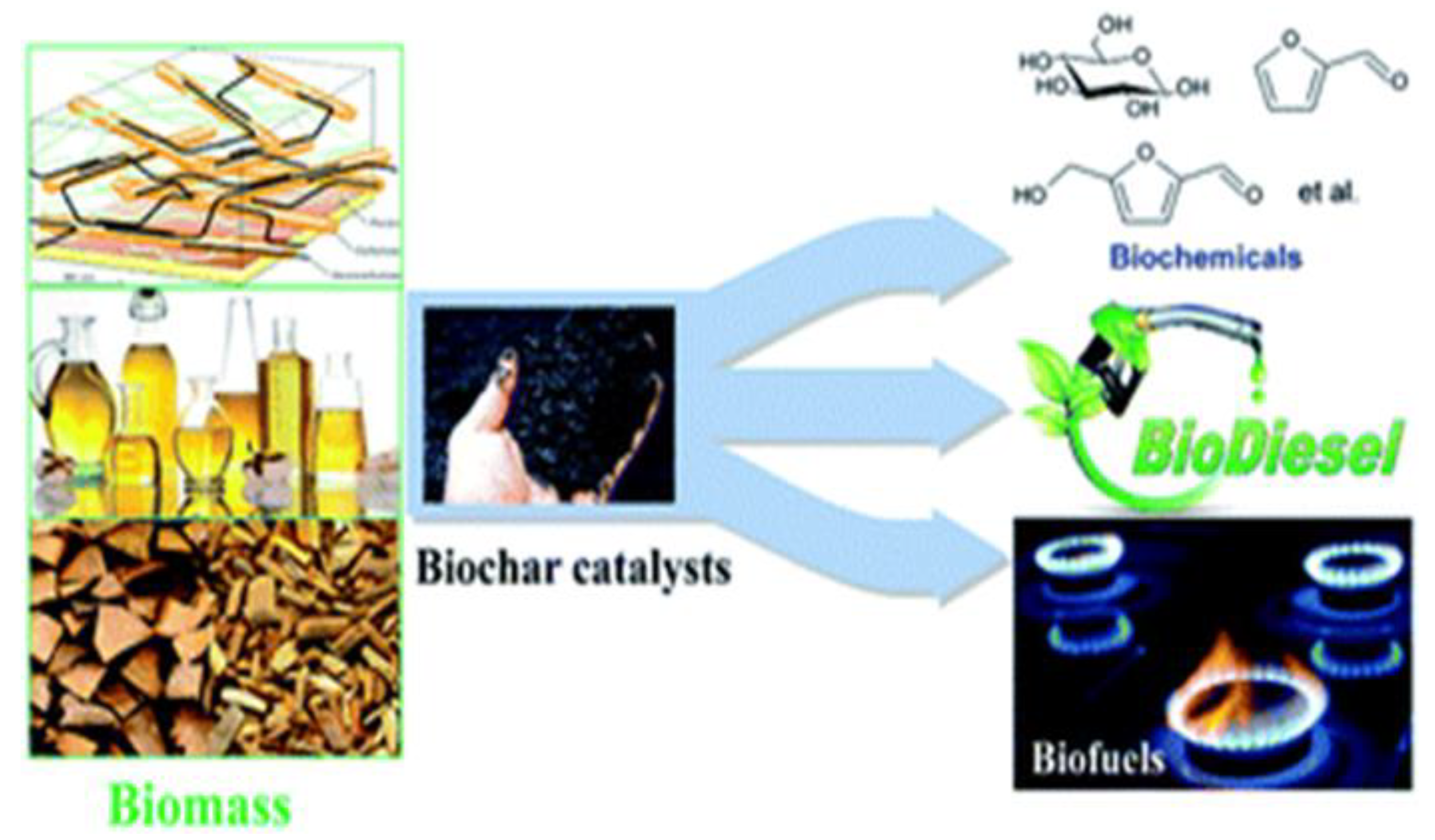 Catalysts 13 00020 g005