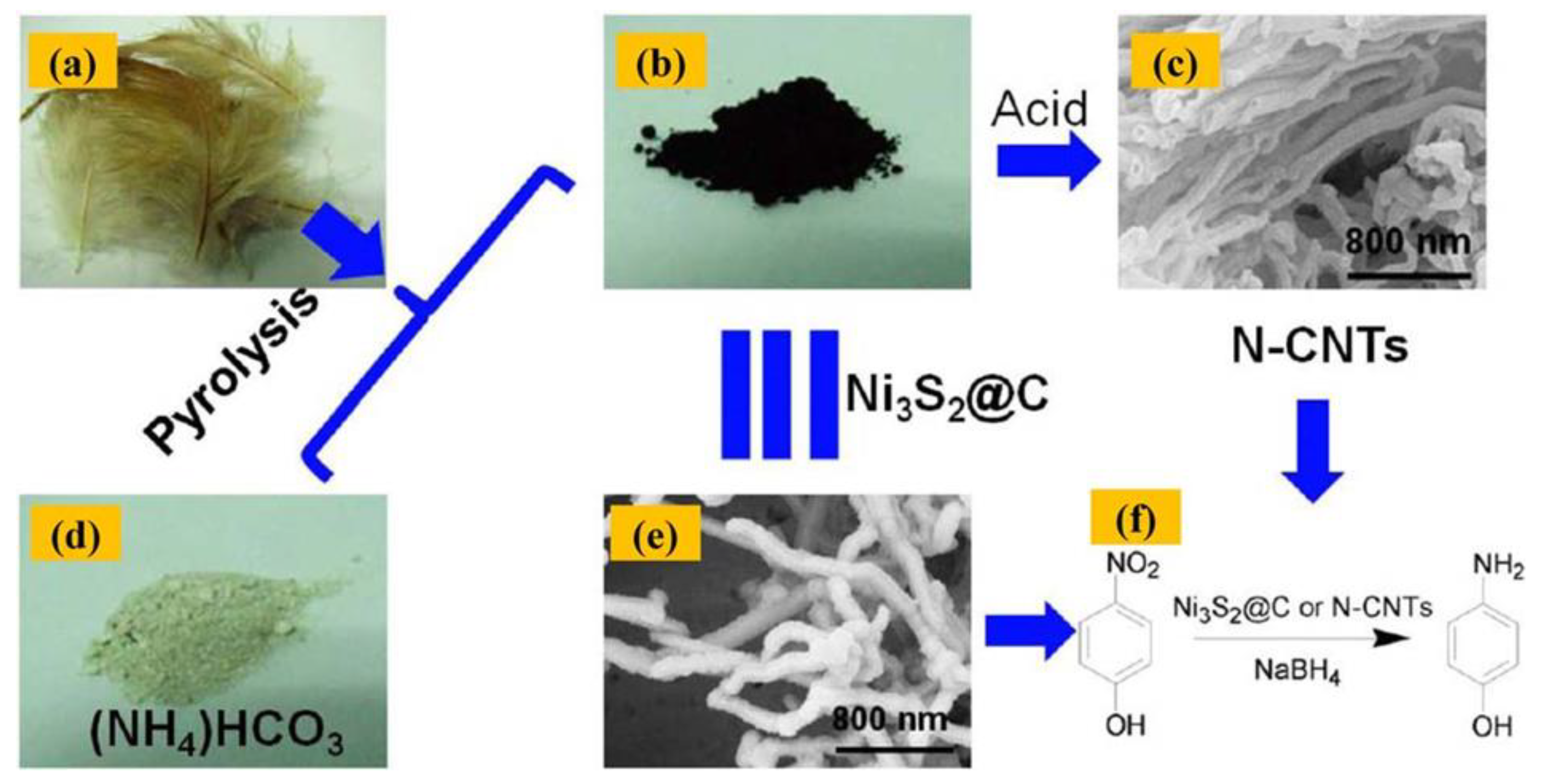 Catalysts 13 00020 g006