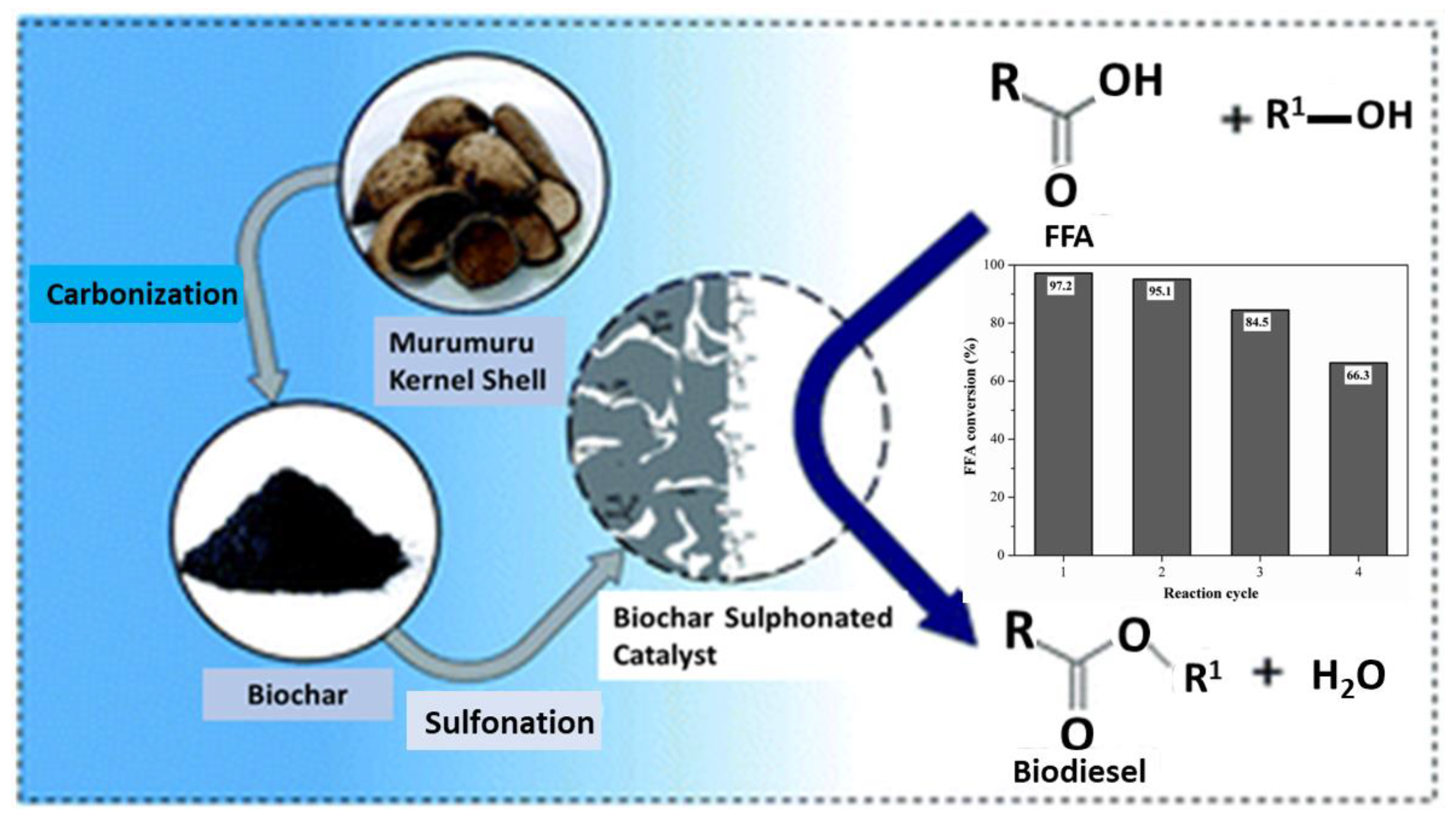Catalysts 13 00020 g011