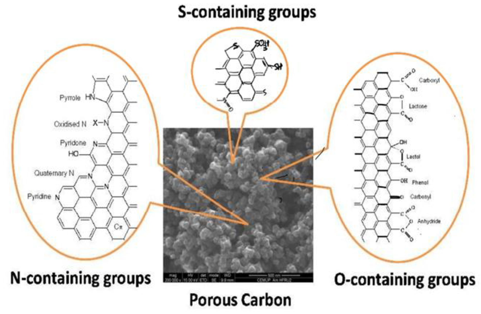 Catalysts 13 00020 g012