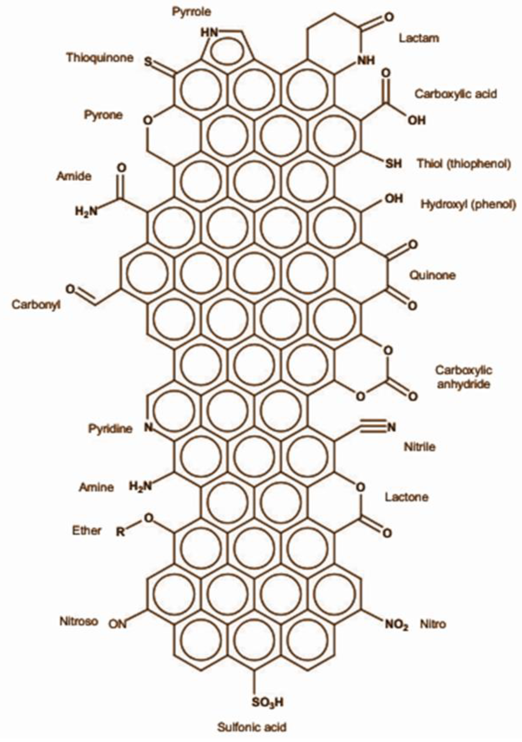 Catalysts 13 00020 g013