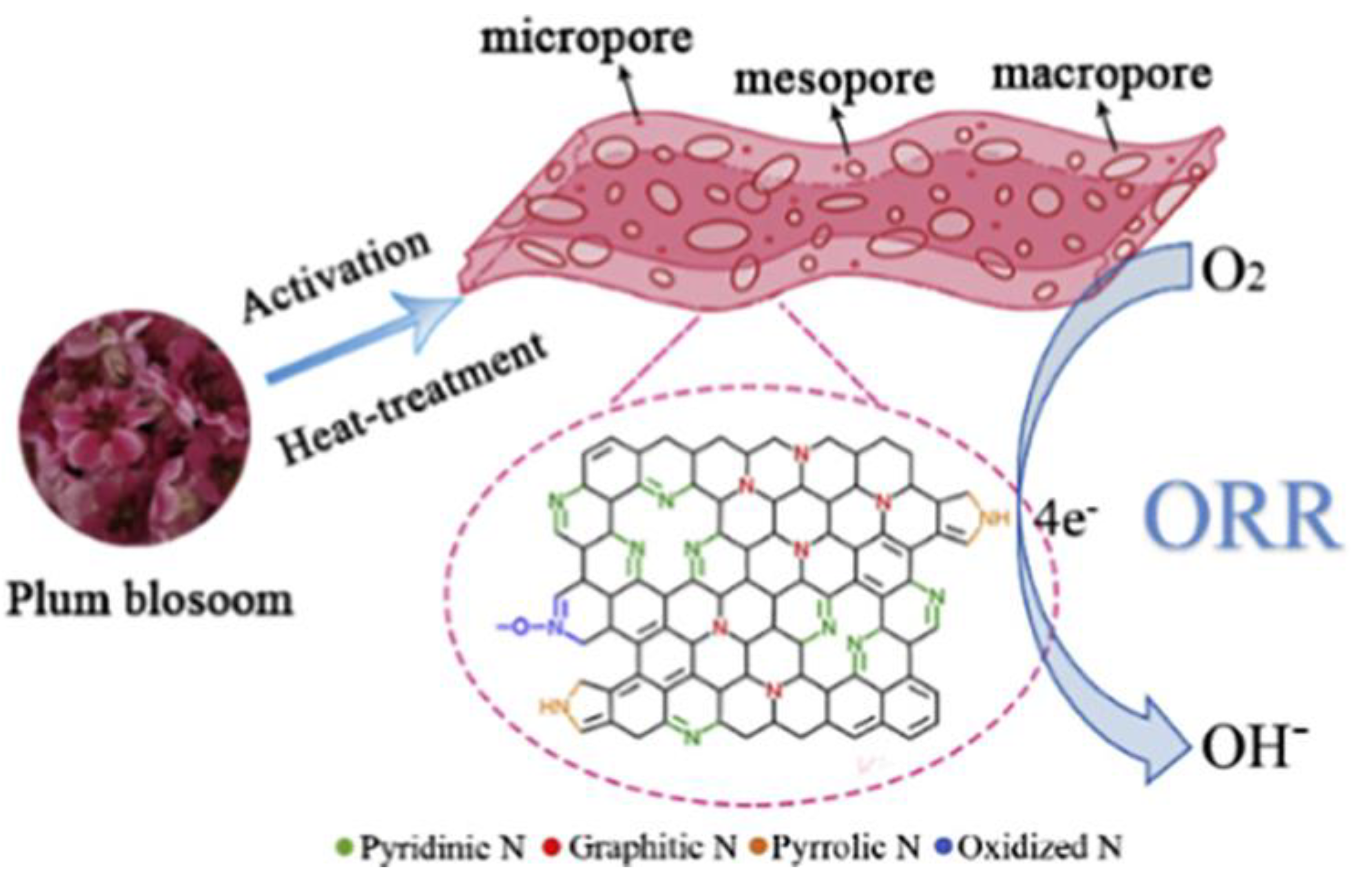 Catalysts 13 00020 g014