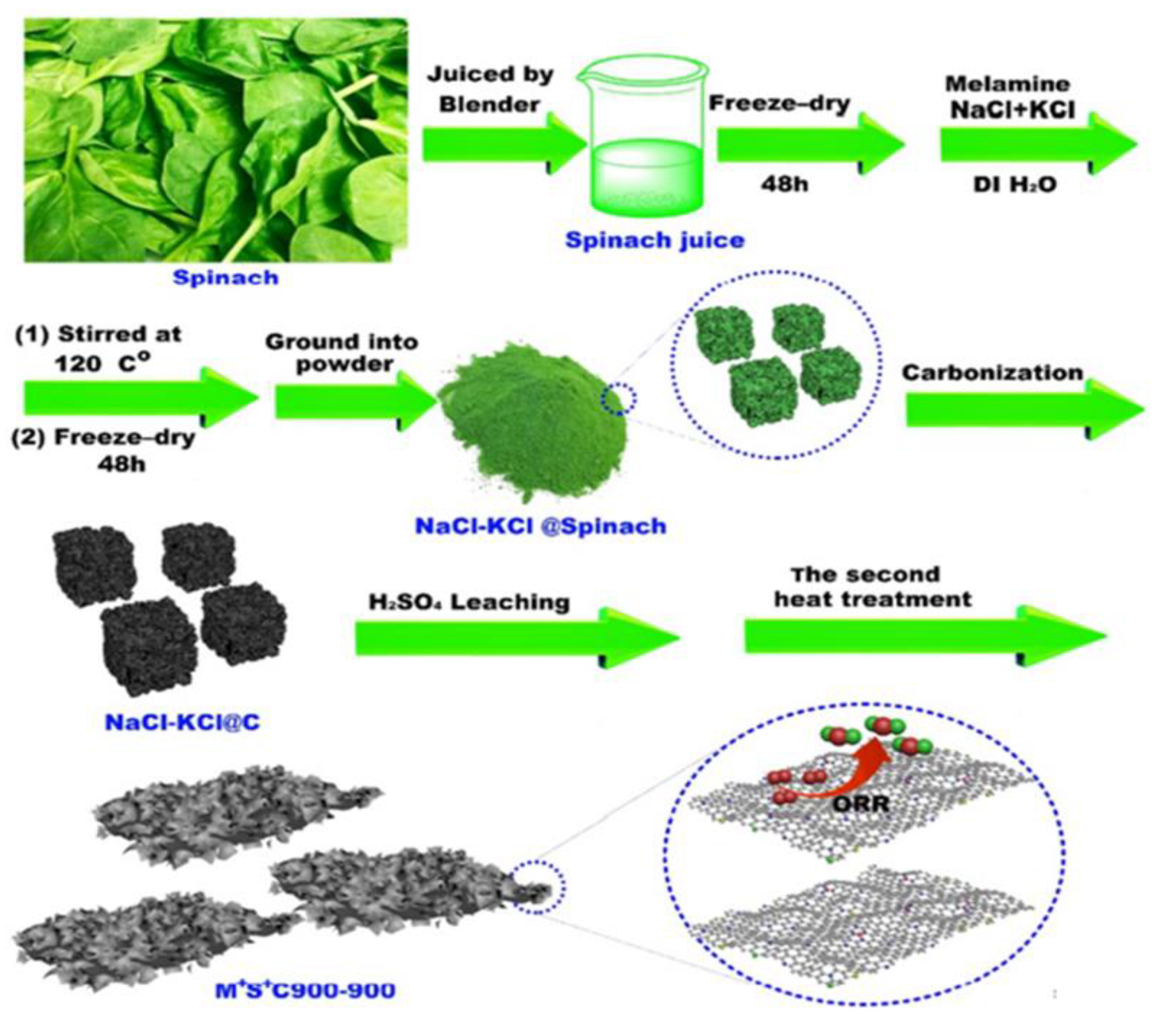 Catalysts 13 00020 g015