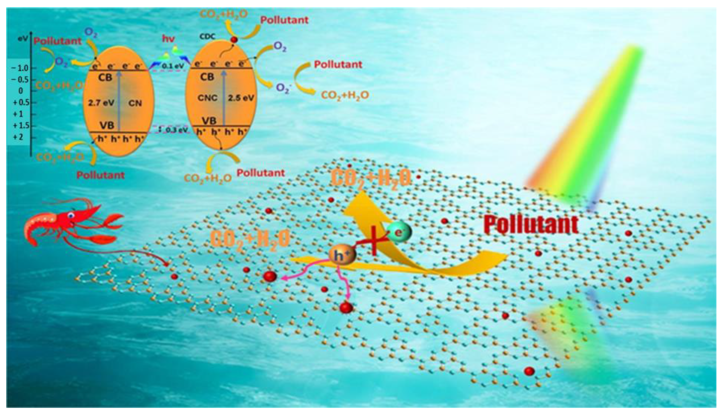Catalysts 13 00020 g019