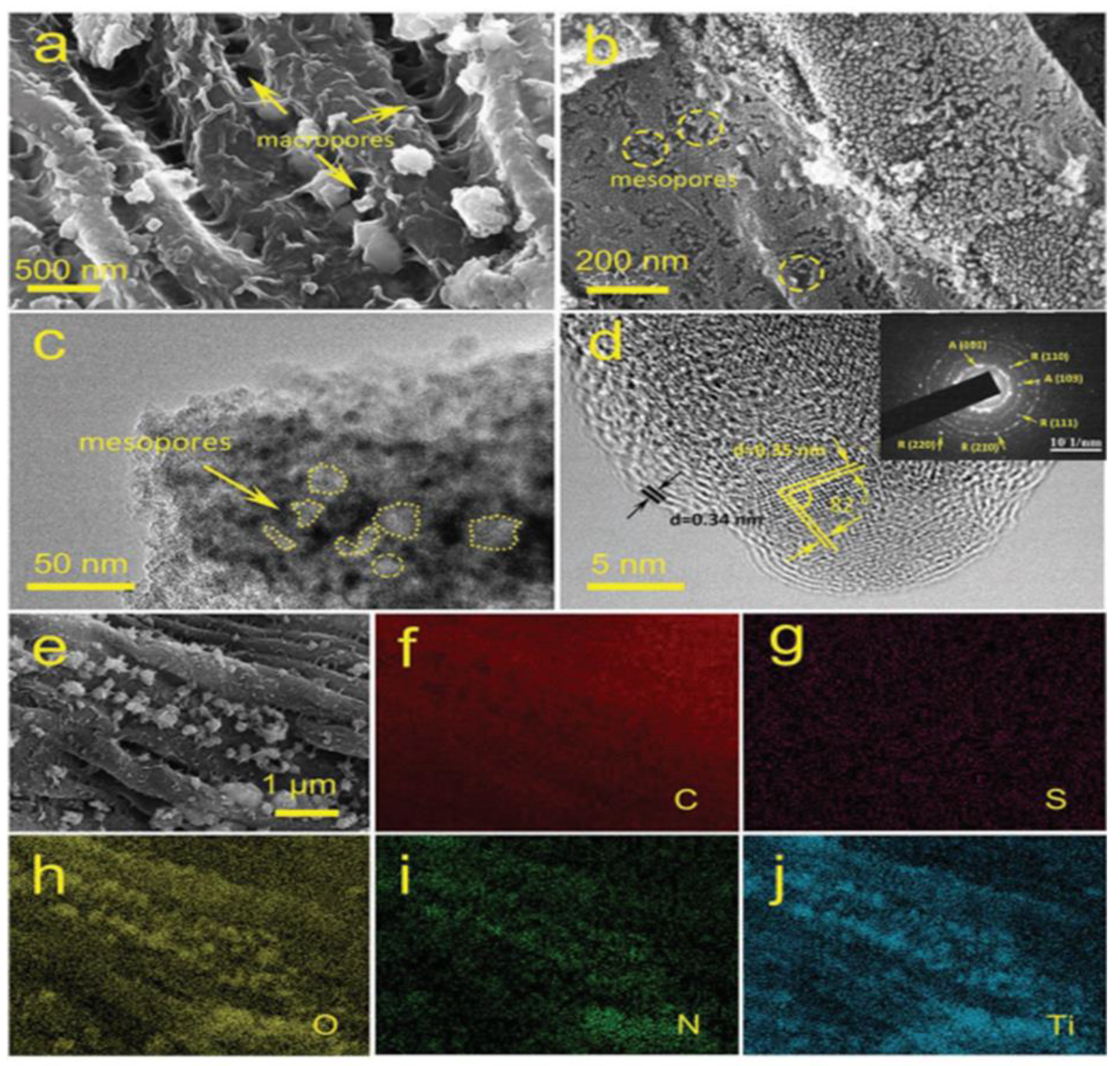 Catalysts 13 00020 g020
