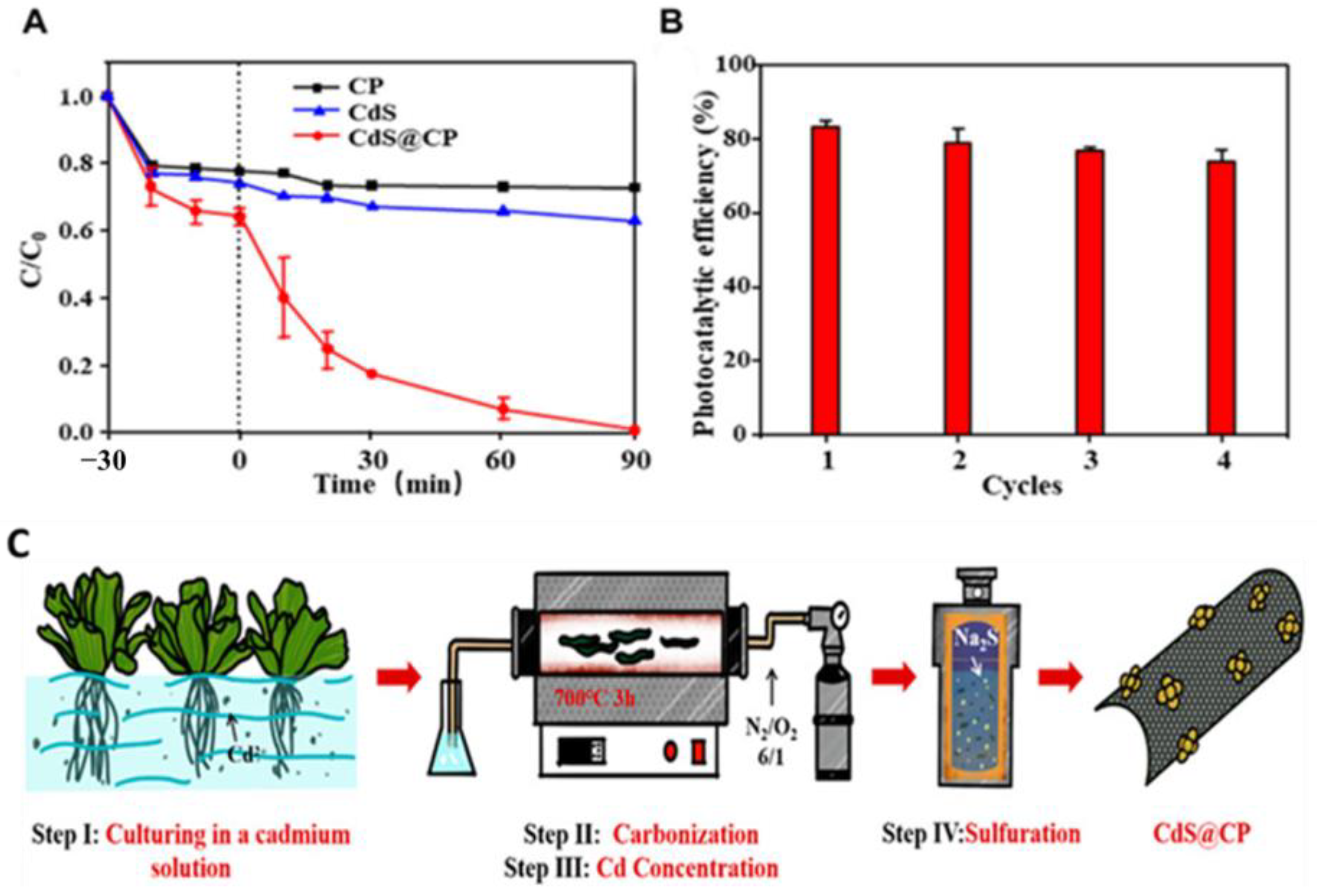 Catalysts 13 00020 g021