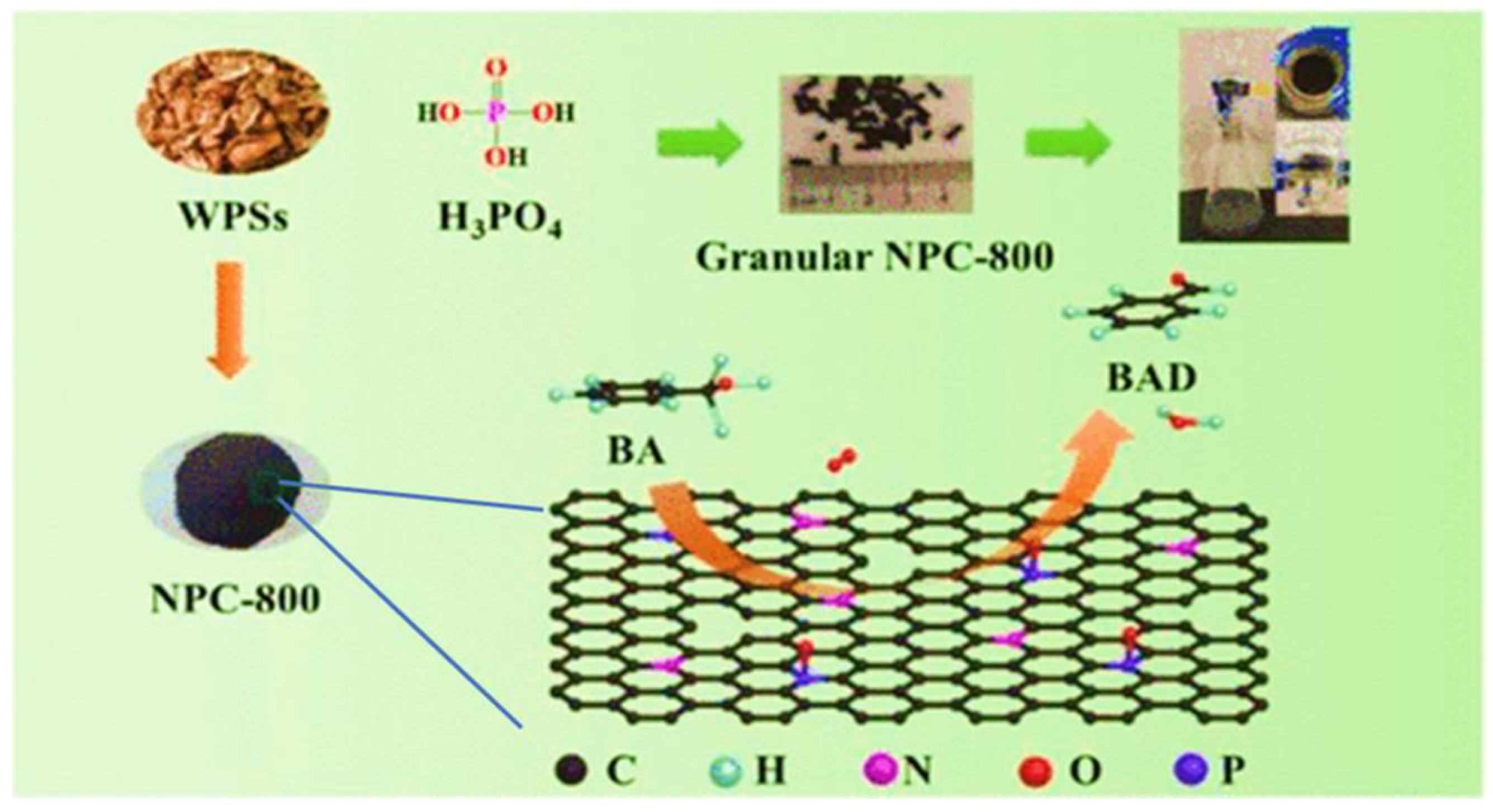Catalysts 13 00020 g023