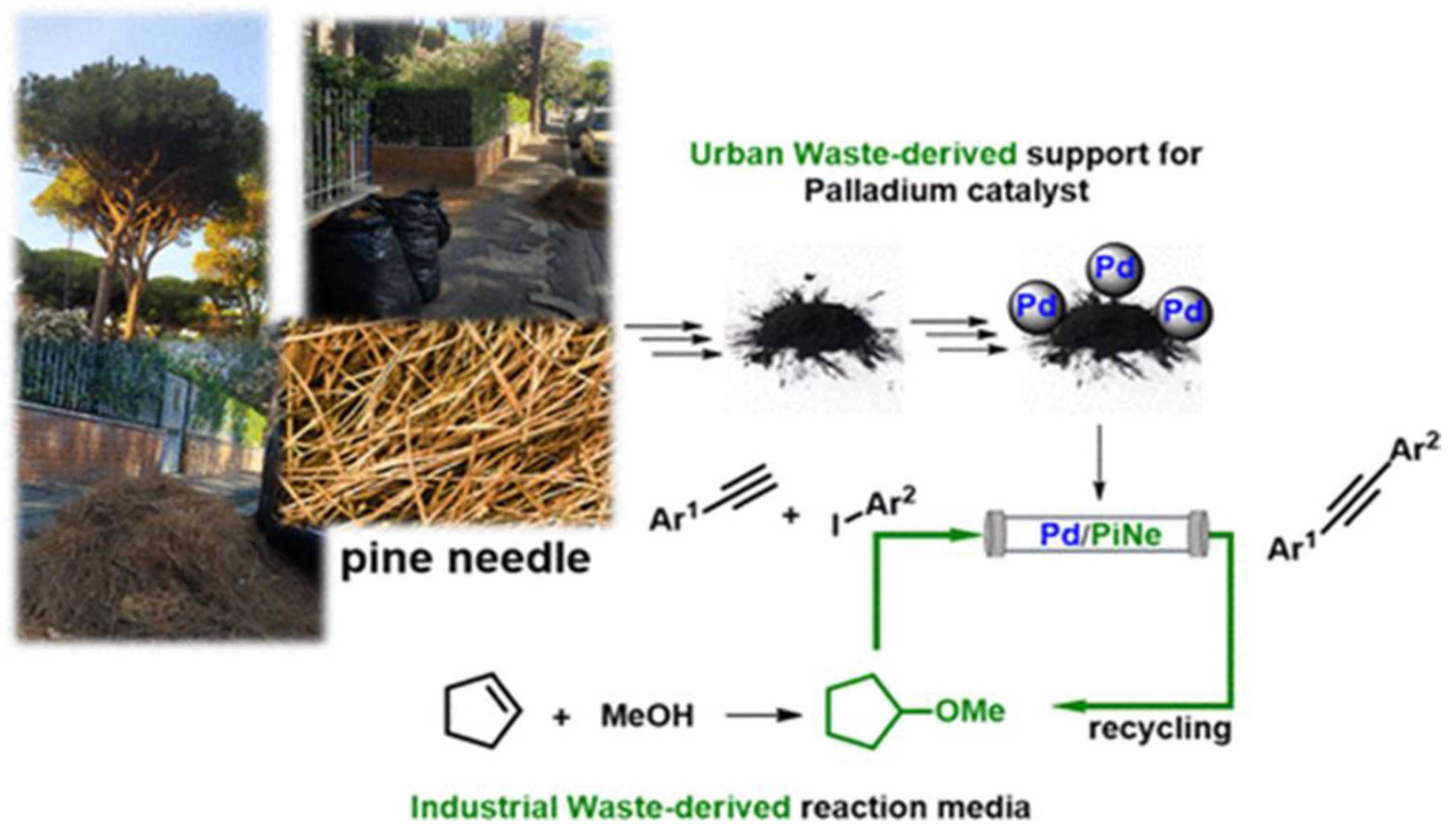 Catalysts 13 00020 g025
