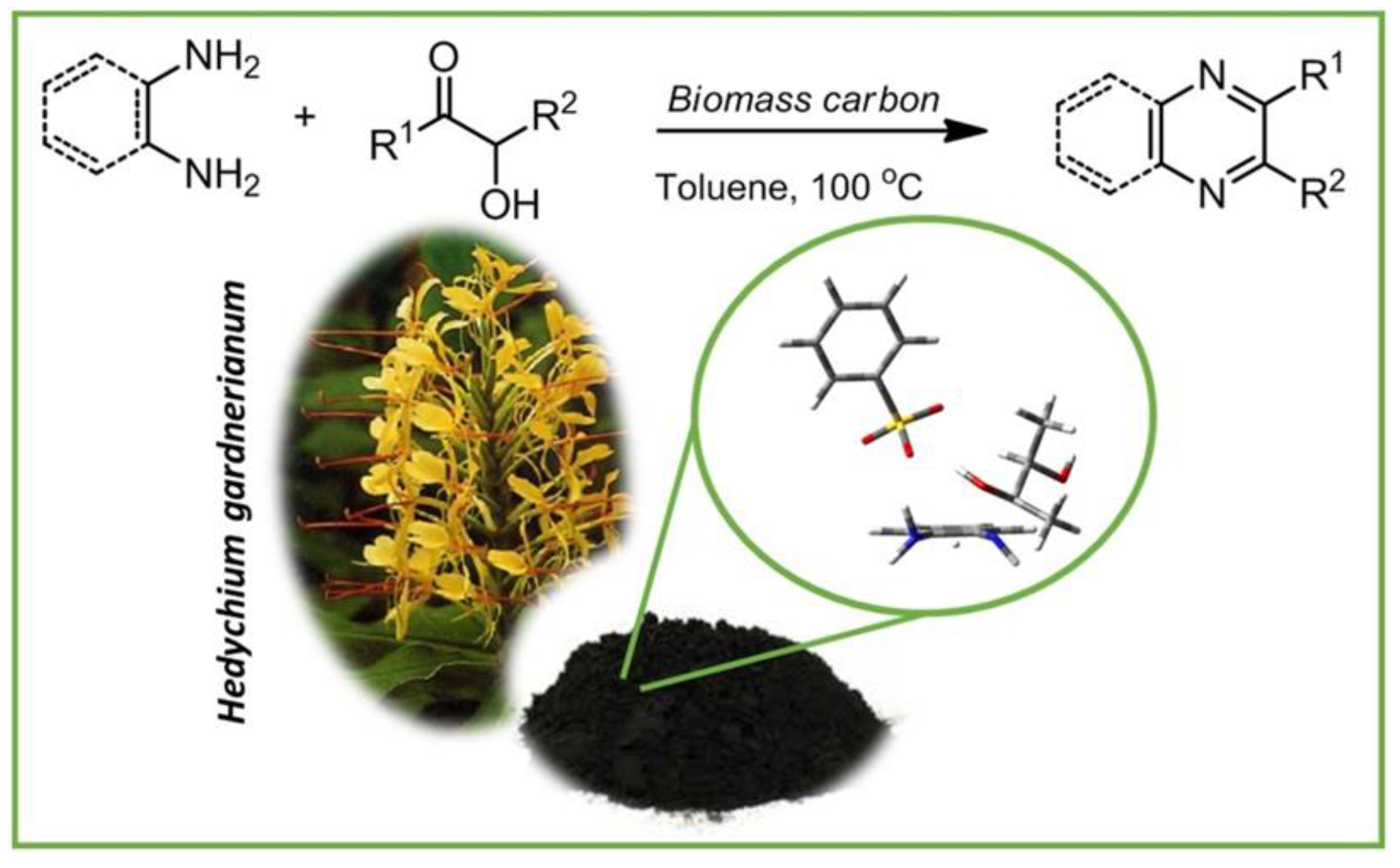 Catalysts 13 00020 g026
