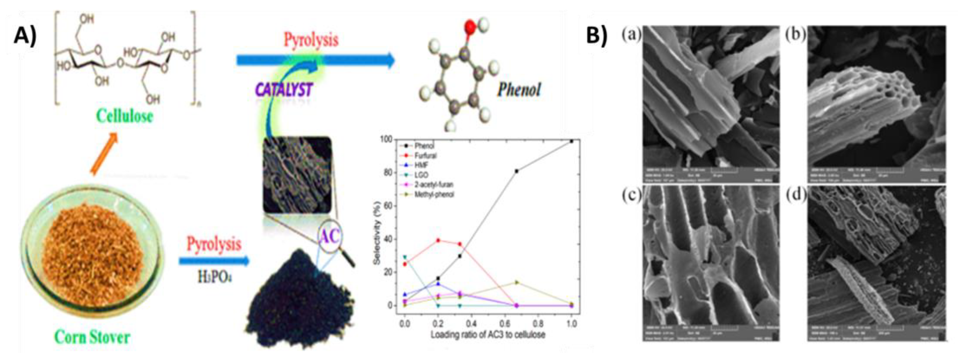 Catalysts 13 00020 g028