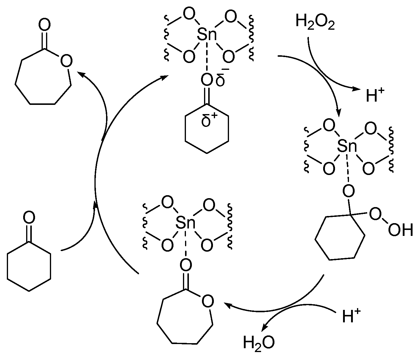 Catalysts 13 00021 g003