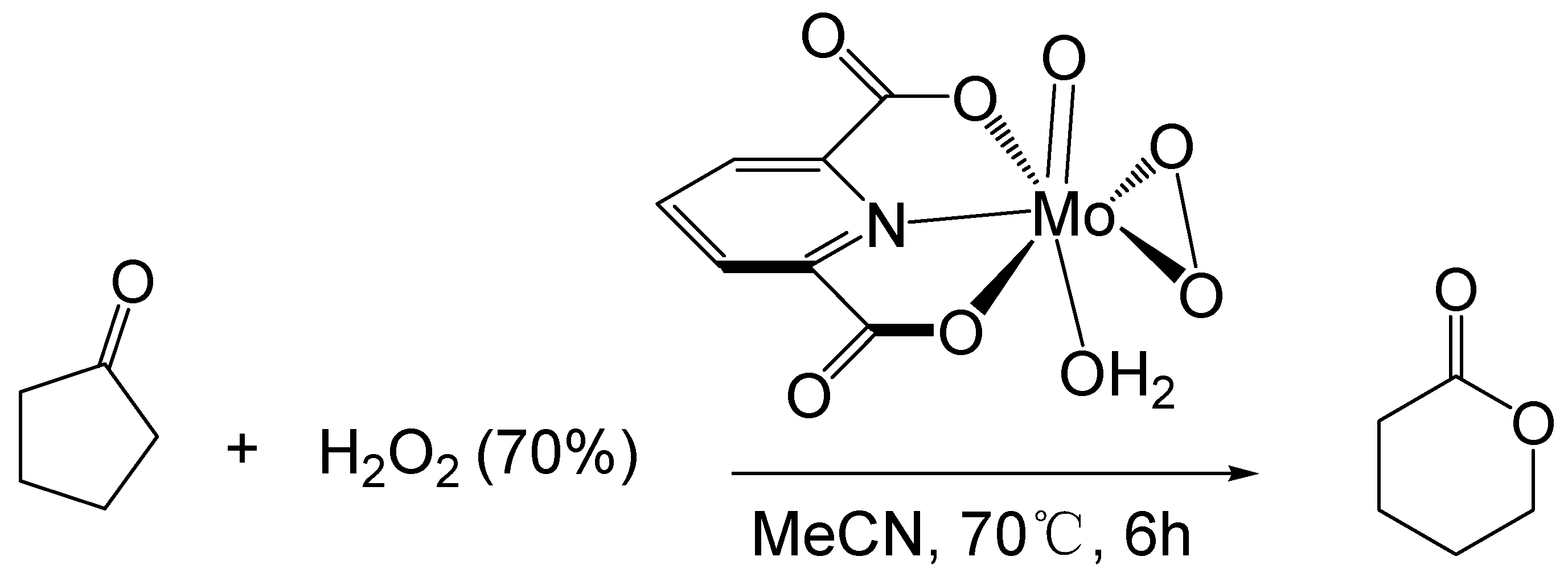 Catalysts 13 00021 g006