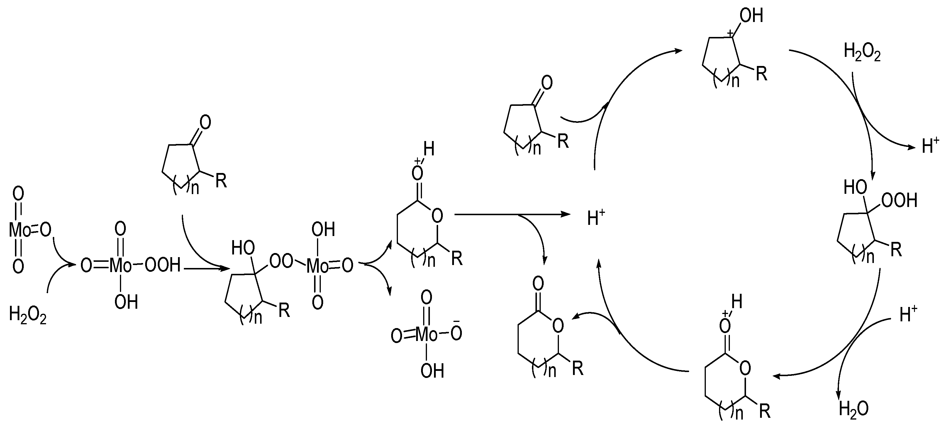 Catalysts 13 00021 g007