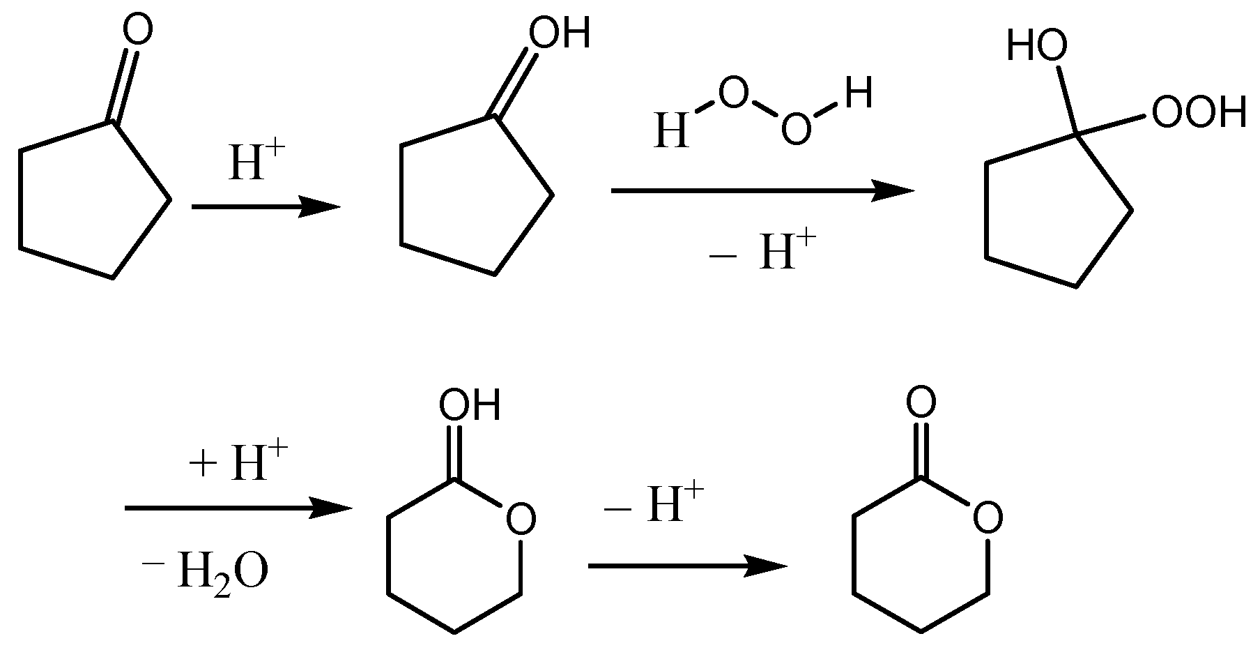Catalysts 13 00021 g009