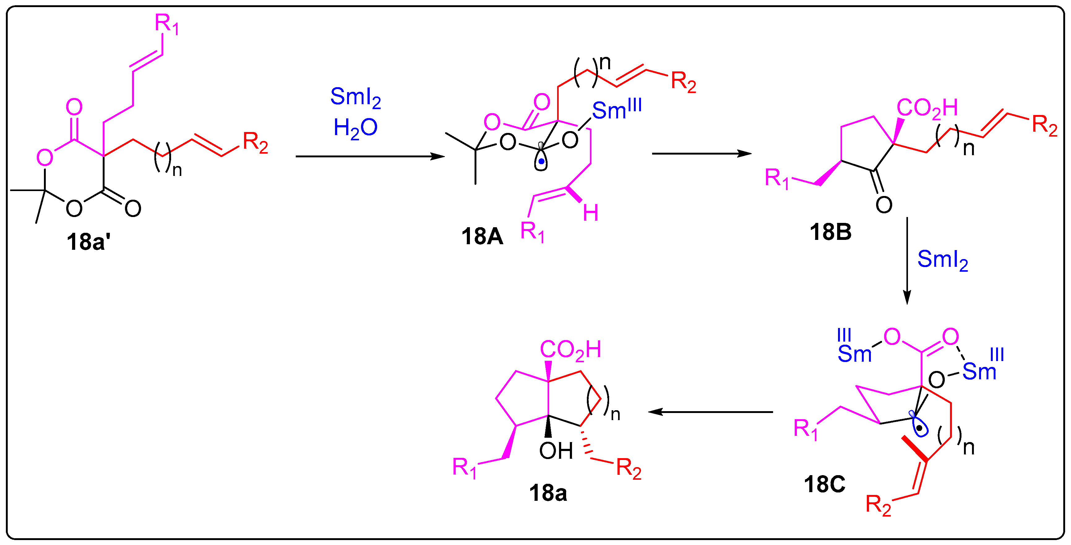 Catalysts 13 00024 sch018b