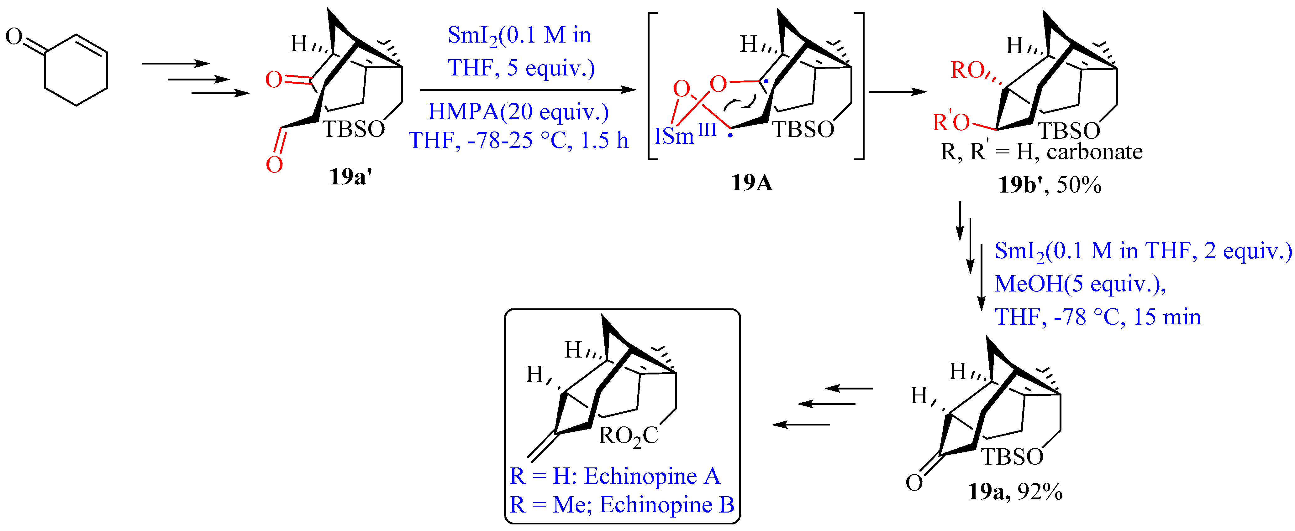 Catalysts 13 00024 sch019
