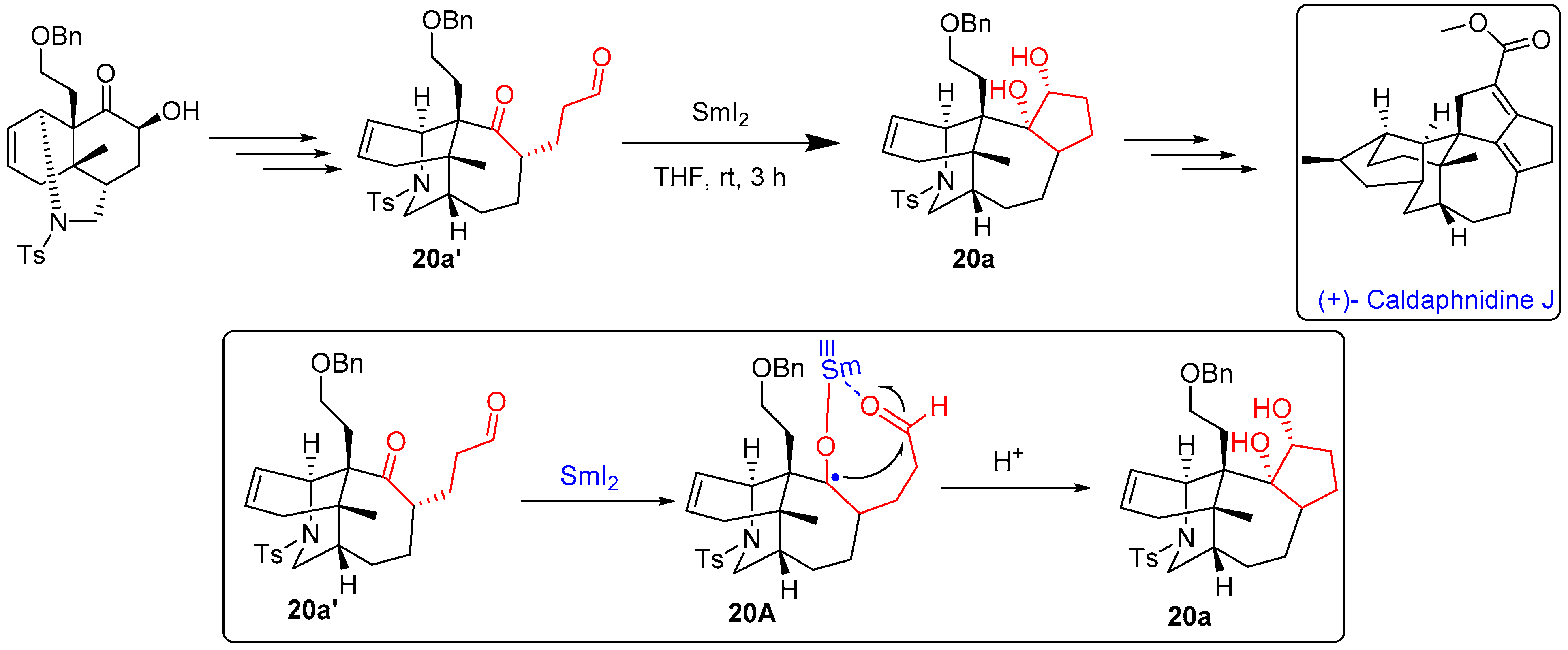 Catalysts 13 00024 sch020