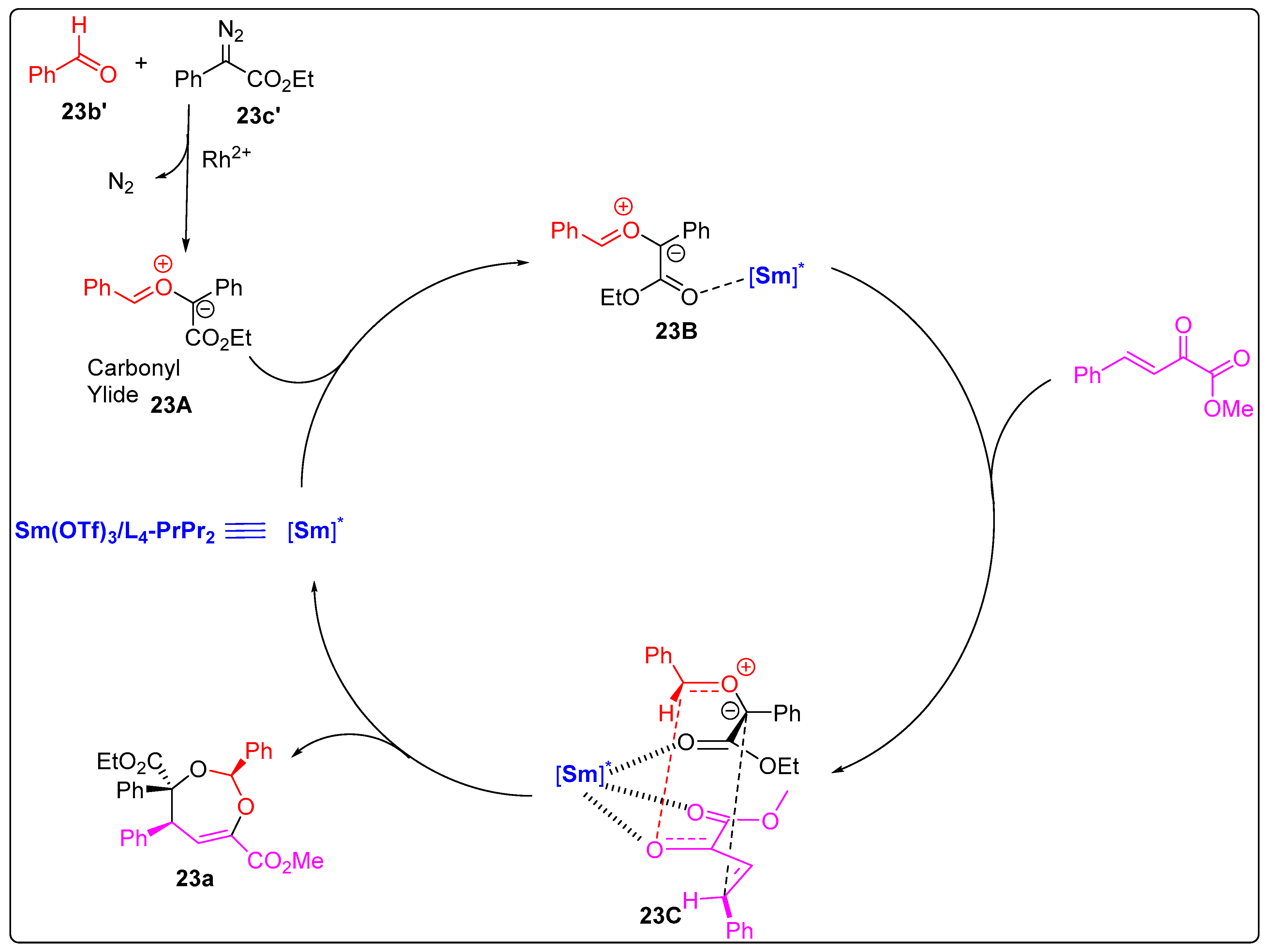 Catalysts 13 00024 sch023b