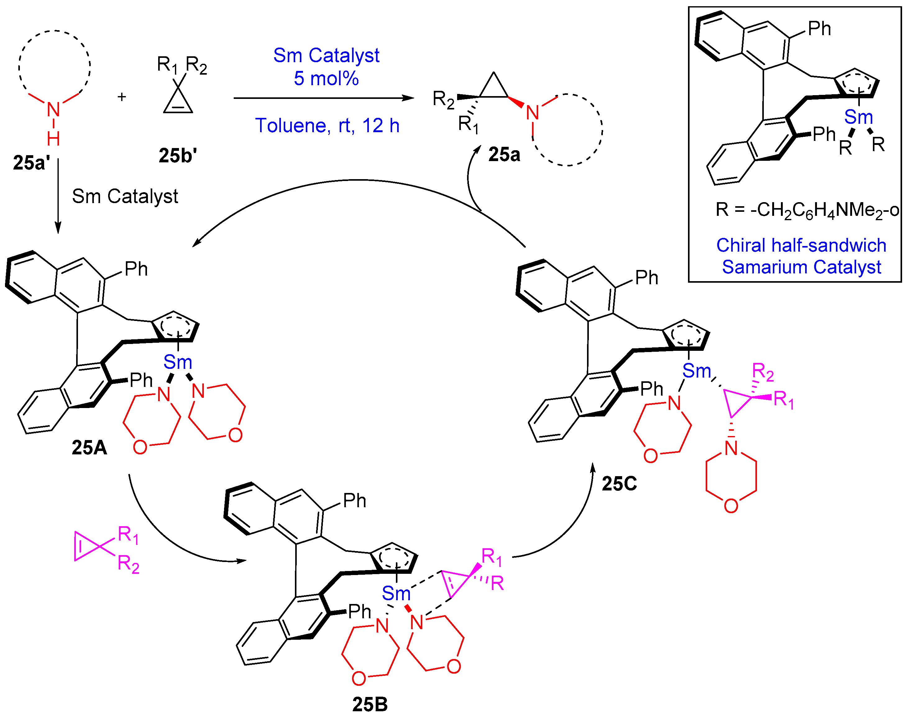Catalysts 13 00024 sch025a