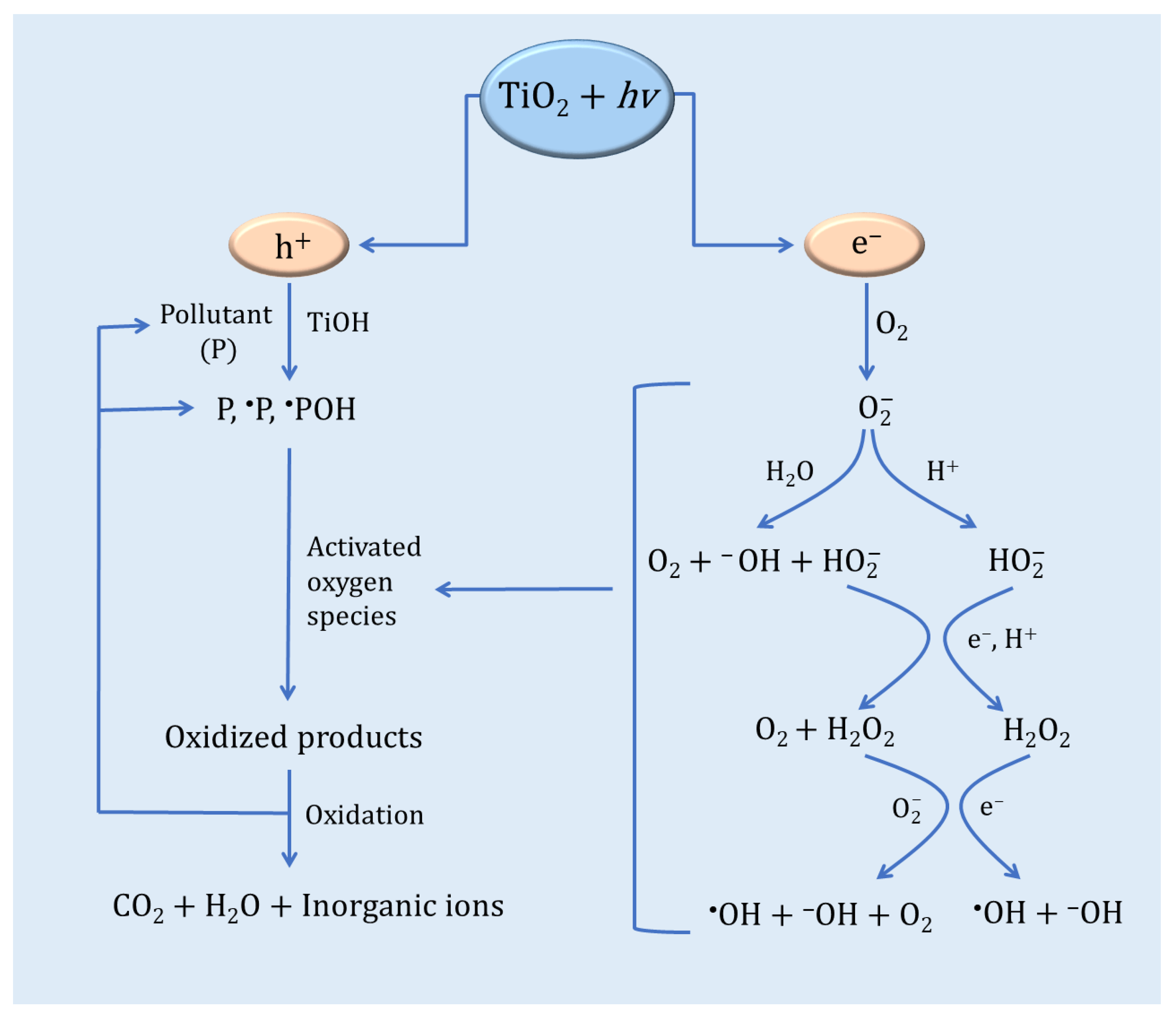 Catalysts 13 00026 g004
