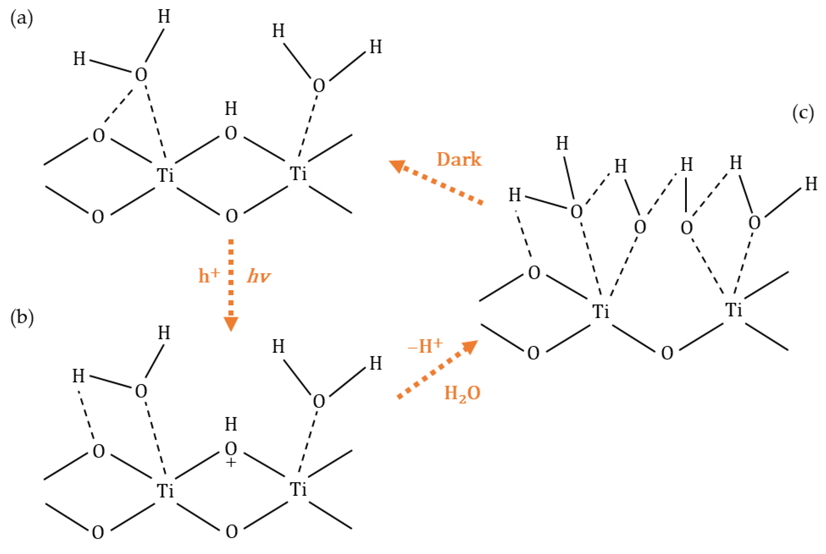 Catalysts 13 00026 g005