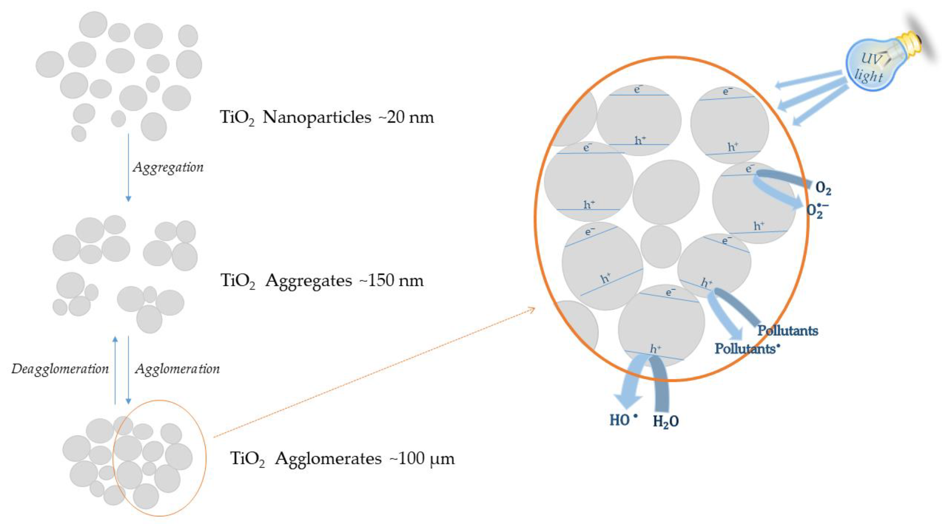 Catalysts 13 00026 g006