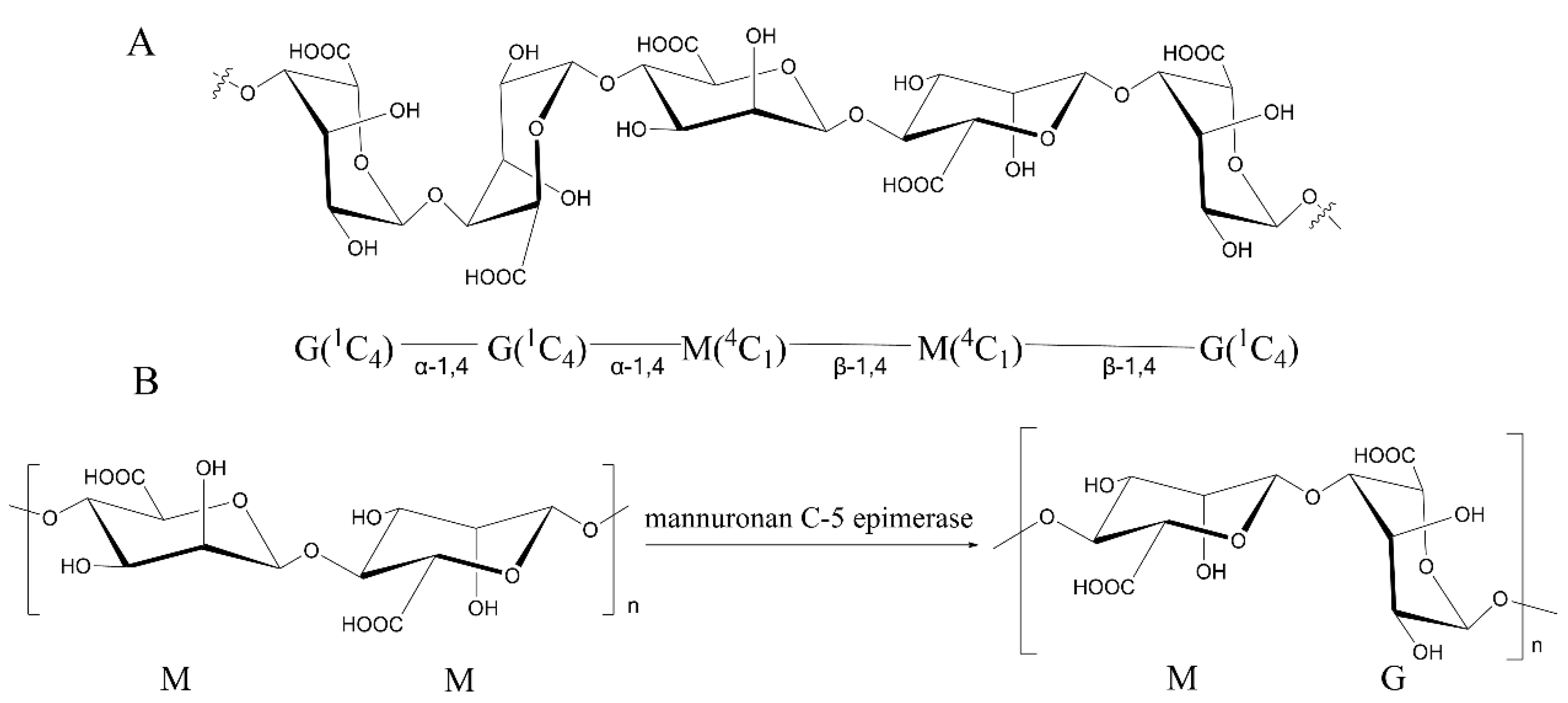 Catalysts 13 00028 g001