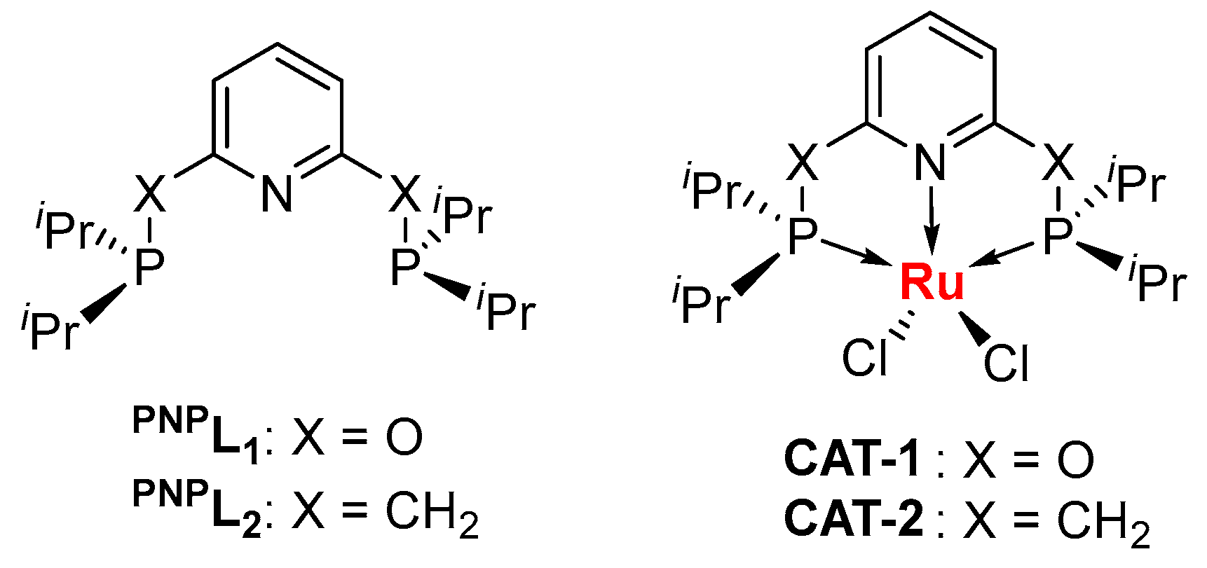 Catalysts 13 00031 sch001