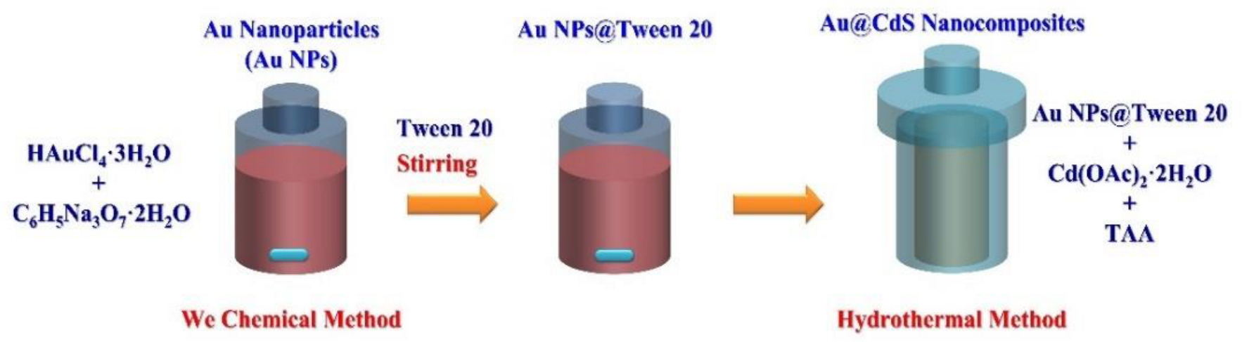 Catalysts 13 00033 g001