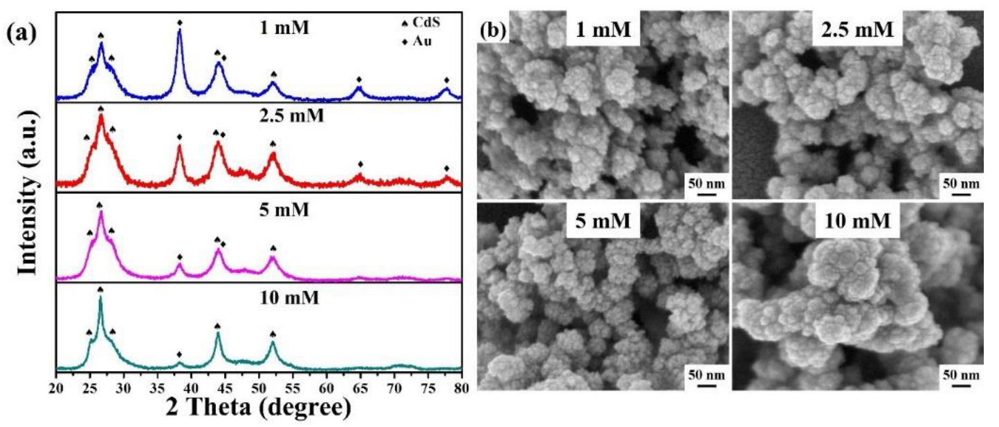 Catalysts 13 00033 g002