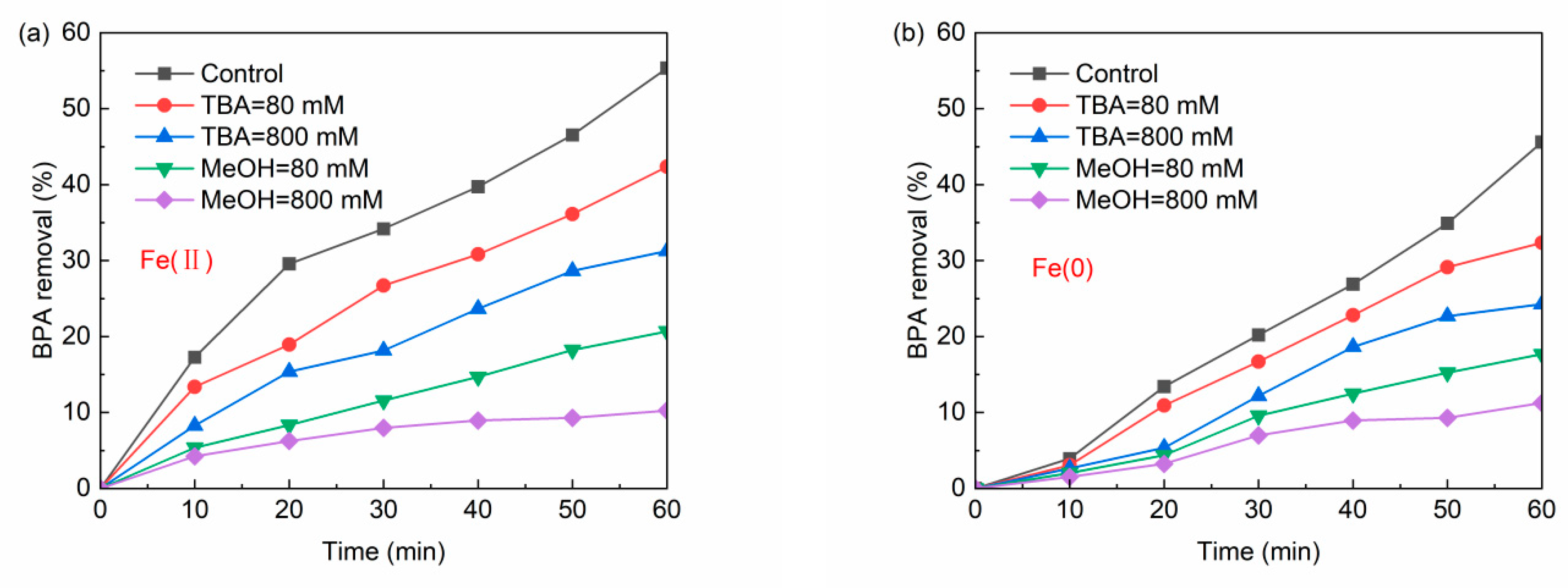 Catalysts 13 00036 g012