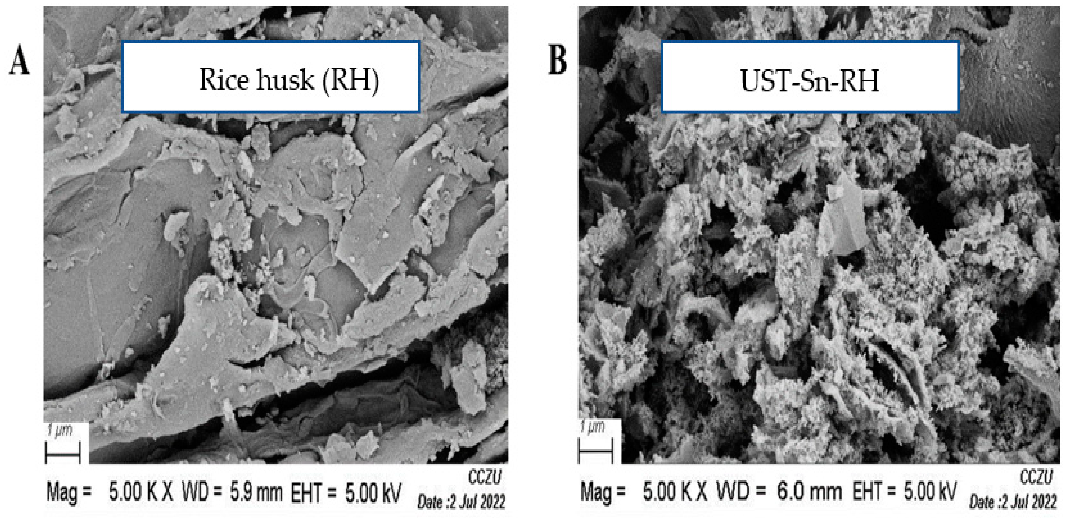 Catalysts 13 00037 g002