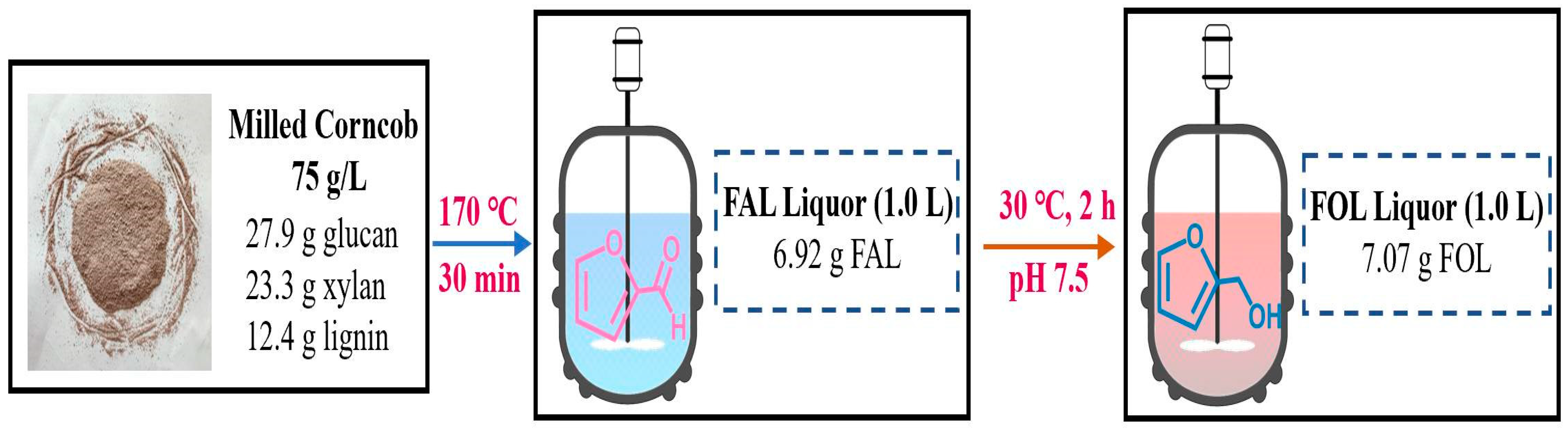Catalysts 13 00037 g009