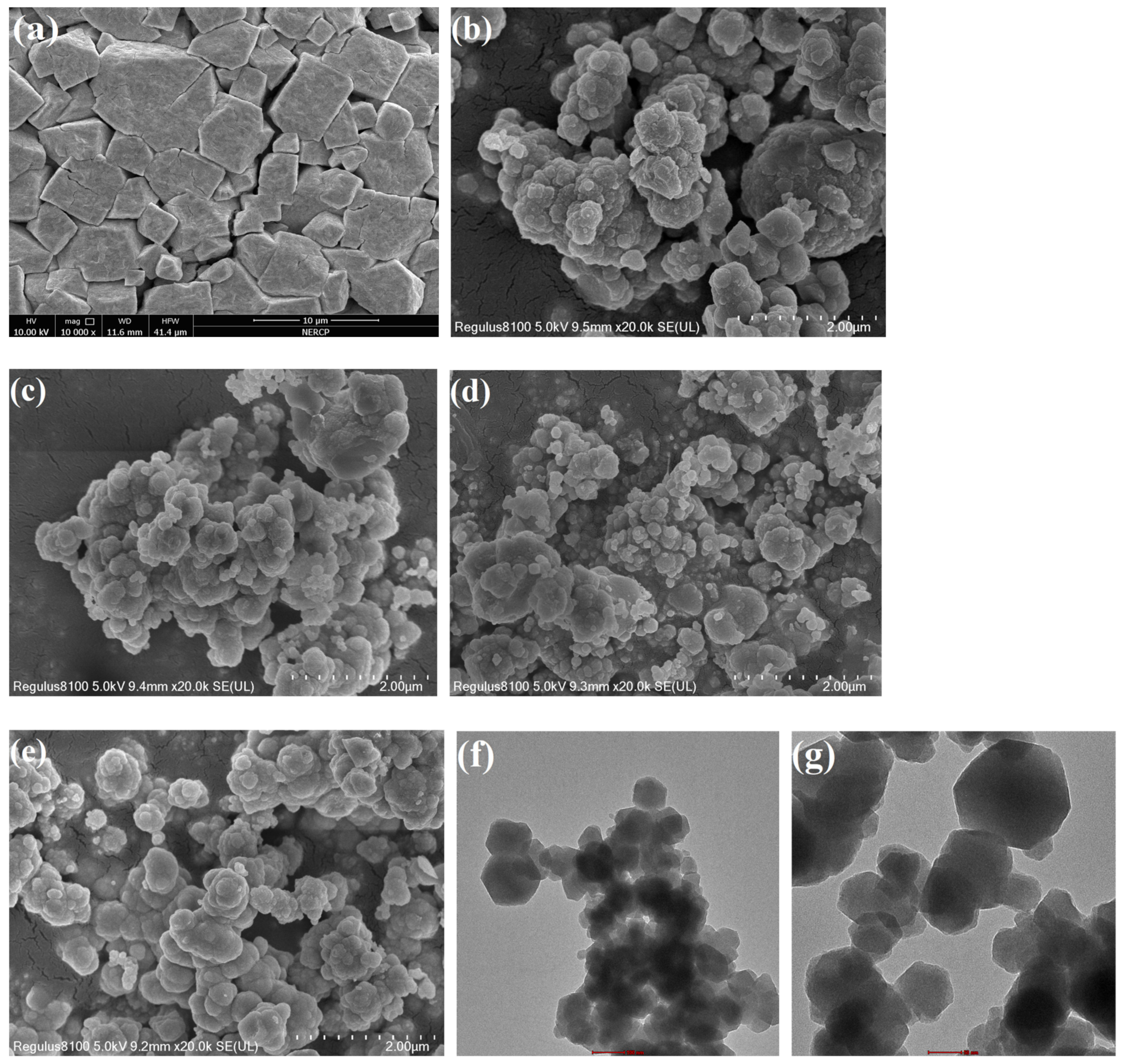 Catalysts 13 00040 g002 Catalysts 13 00040 g002
