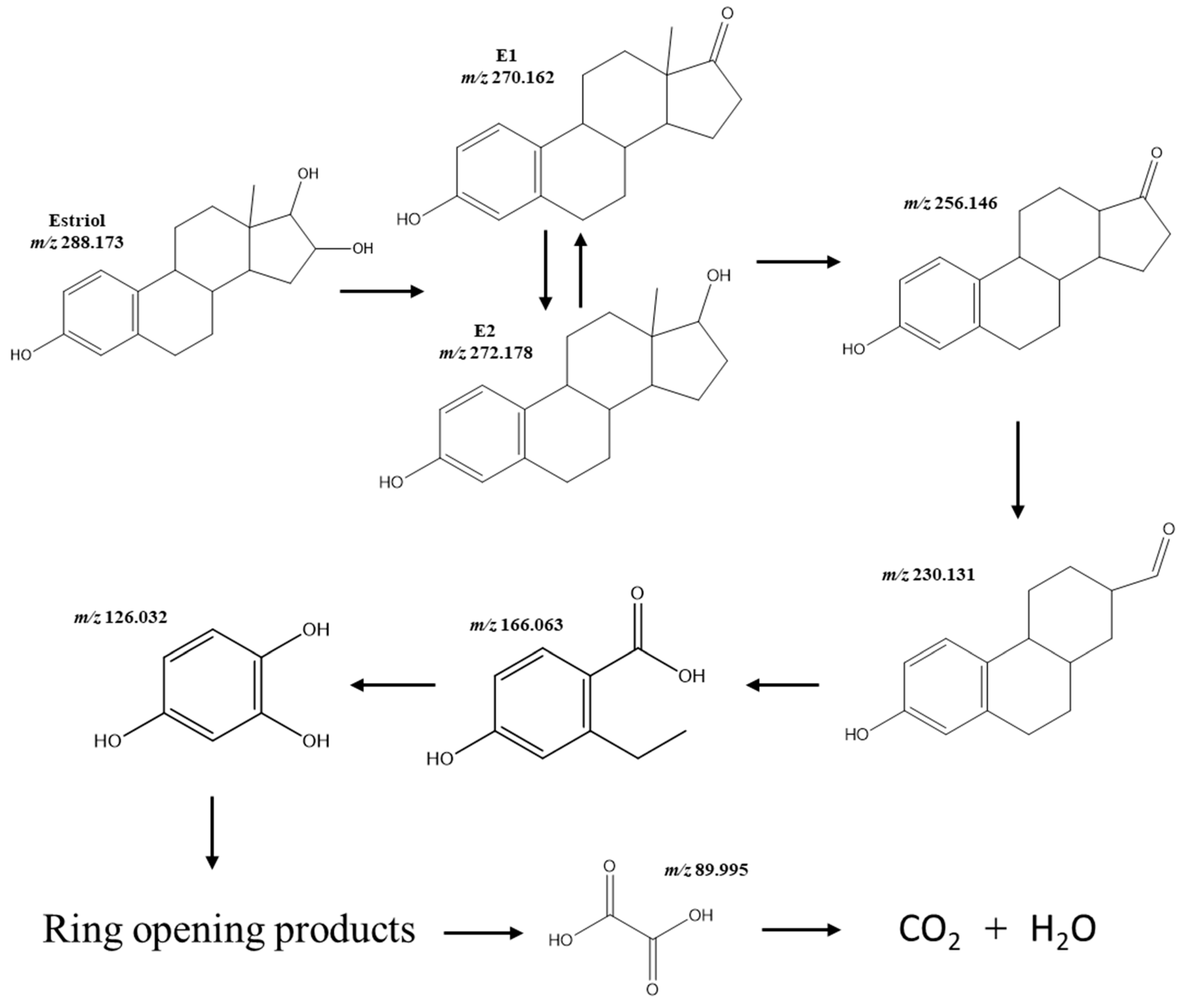 Catalysts 13 00043 g007