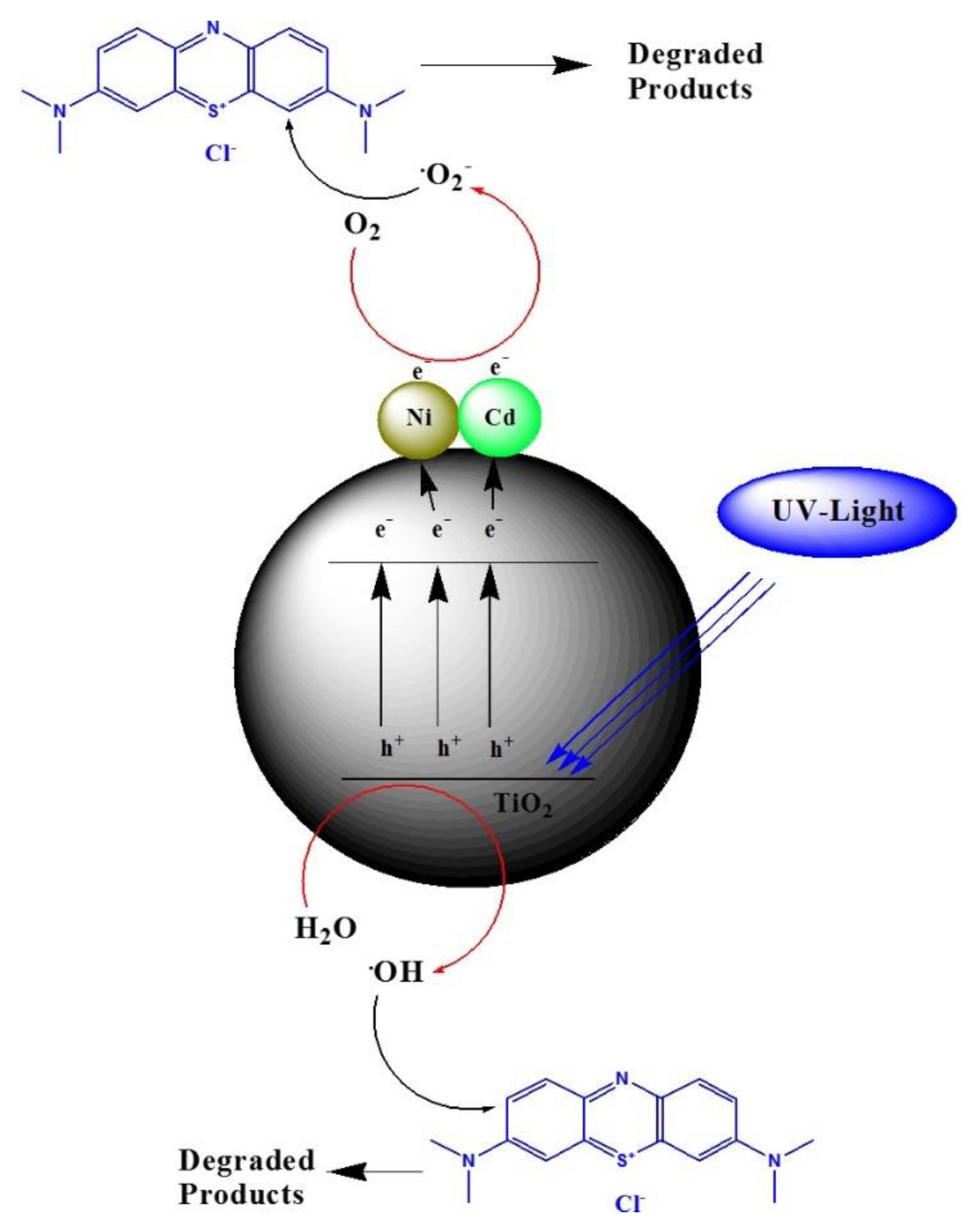 Catalysts 13 00044 g011
