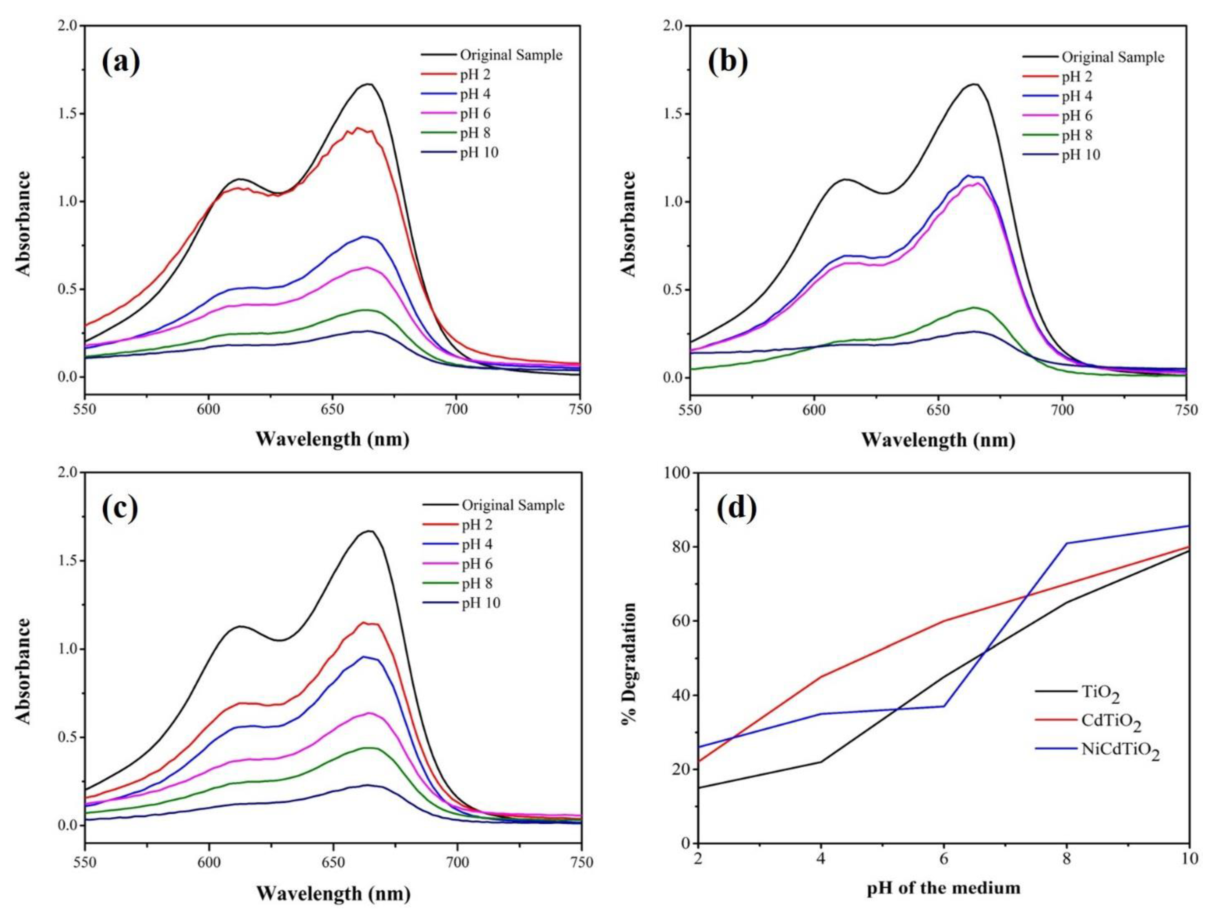 Catalysts 13 00044 g013