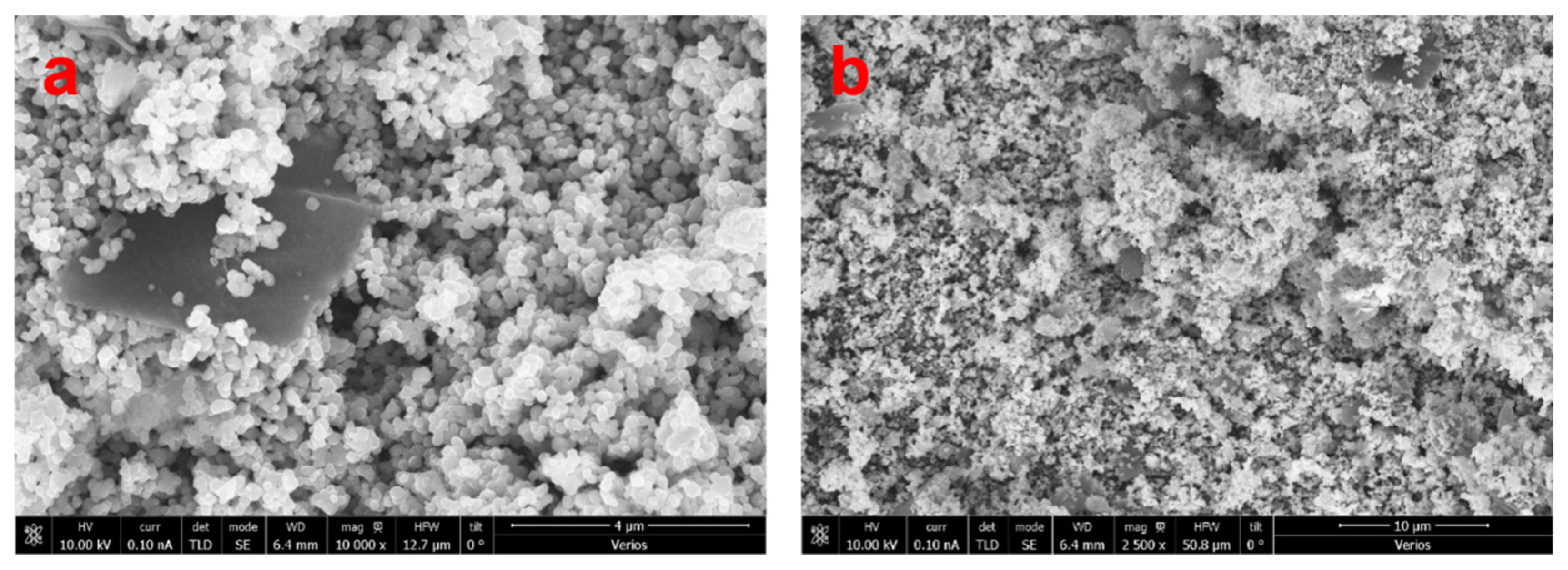 Catalysts 13 00046 g002