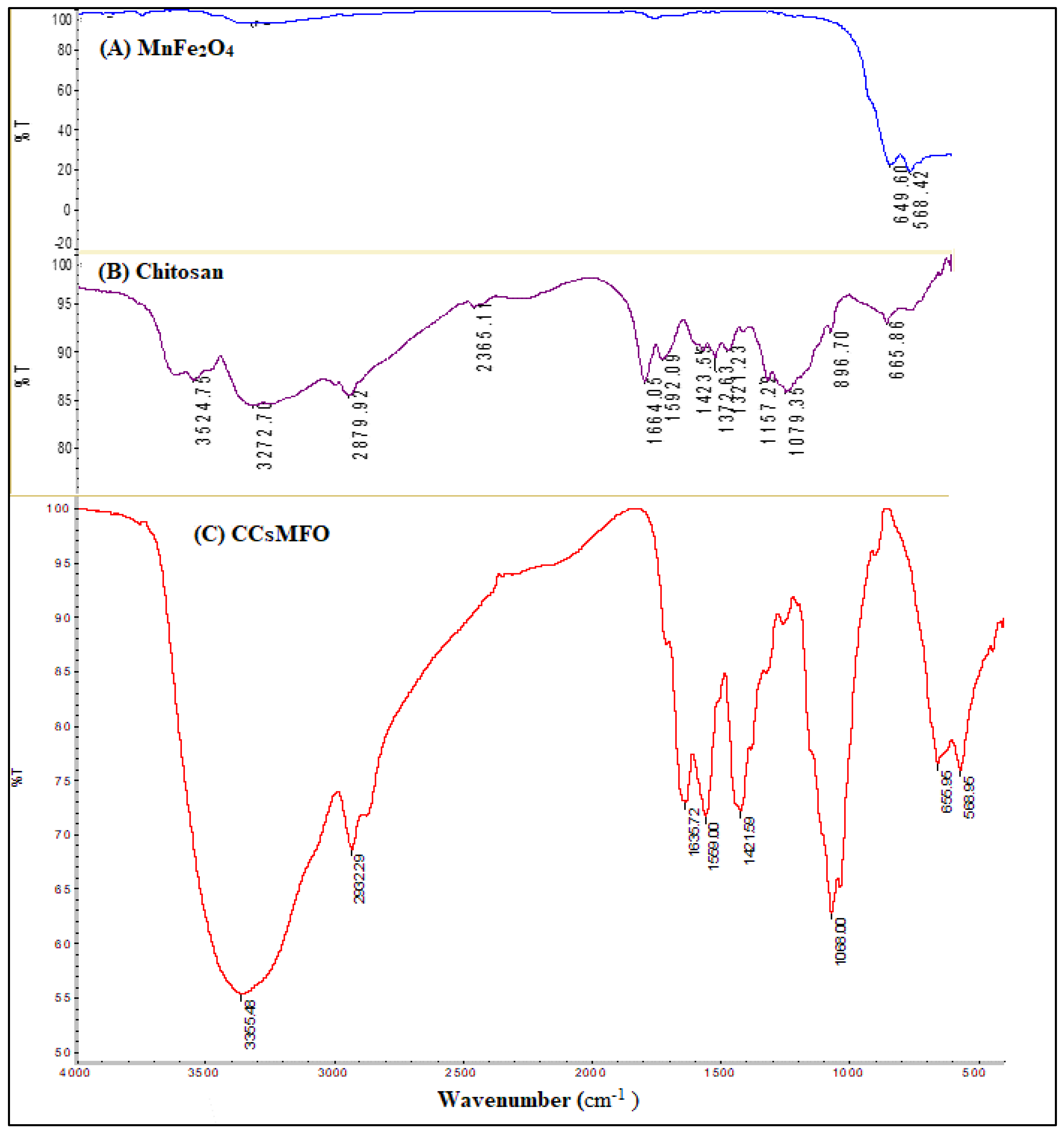 Catalysts 13 00047 g002