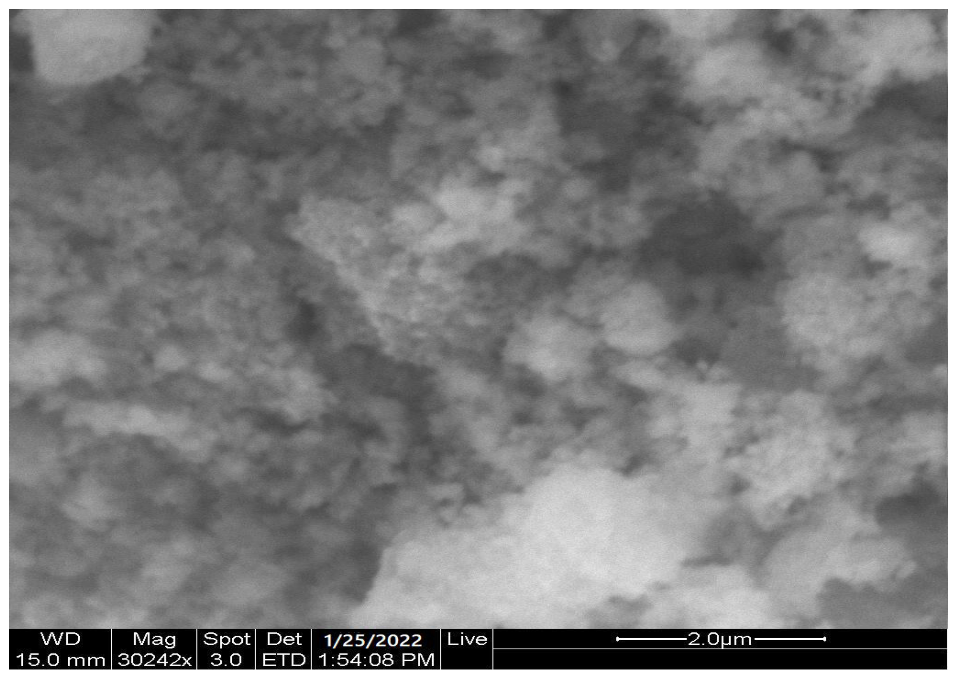 Catalysts 13 00047 g005