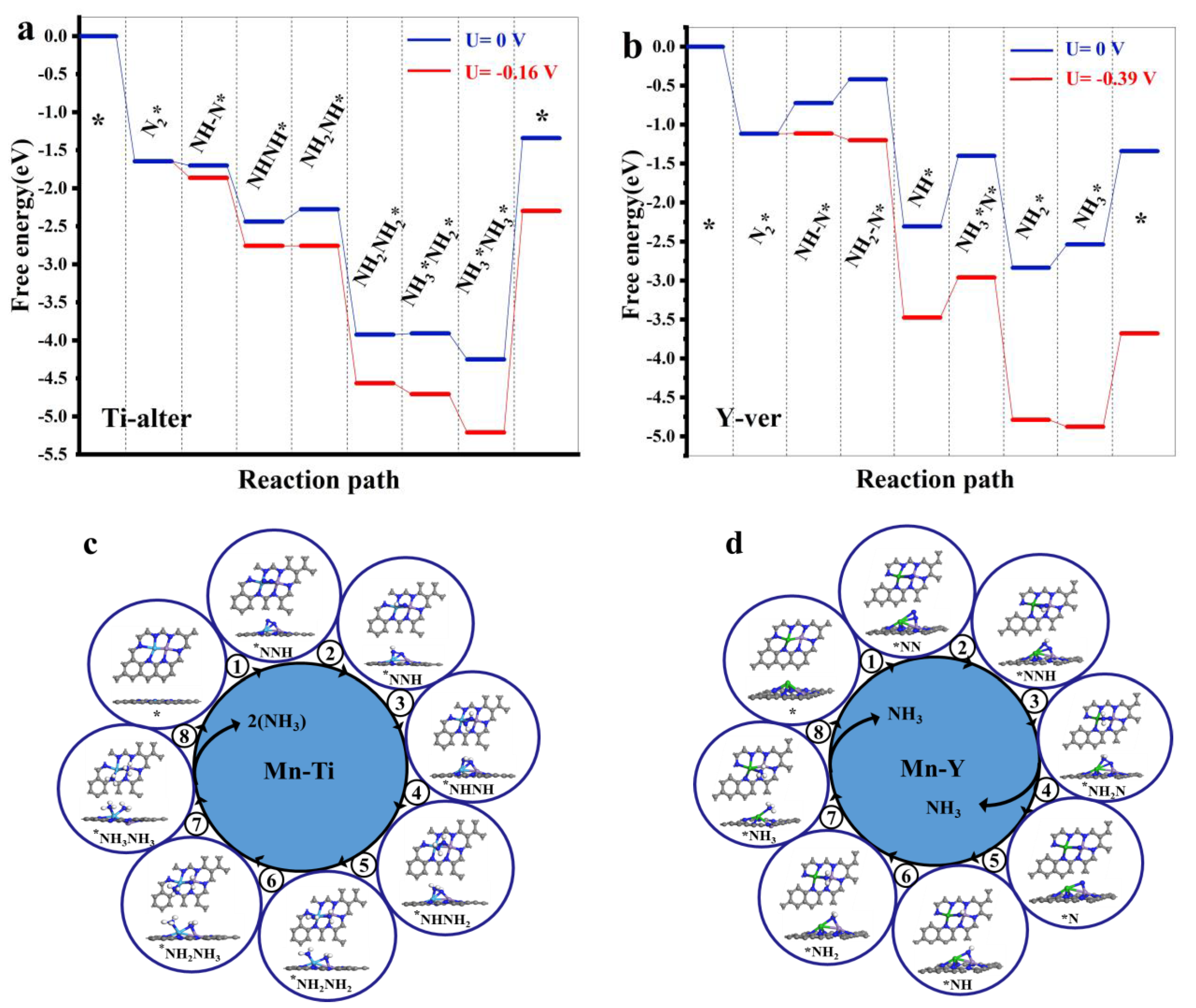 Catalysts 13 00049 g004