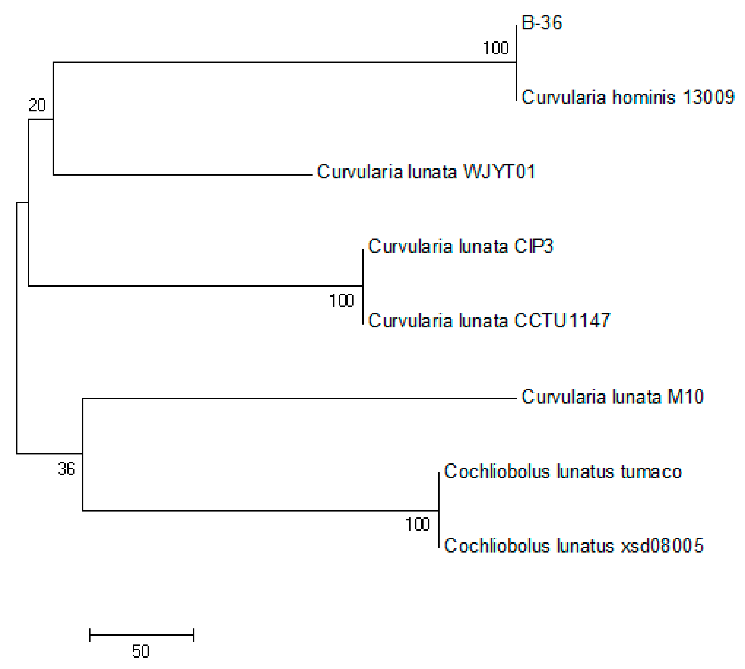 Catalysts 13 00052 g001