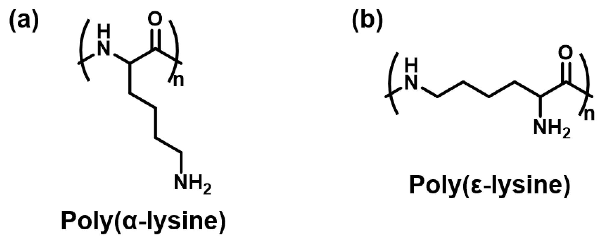 Catalysts 13 00056 g006