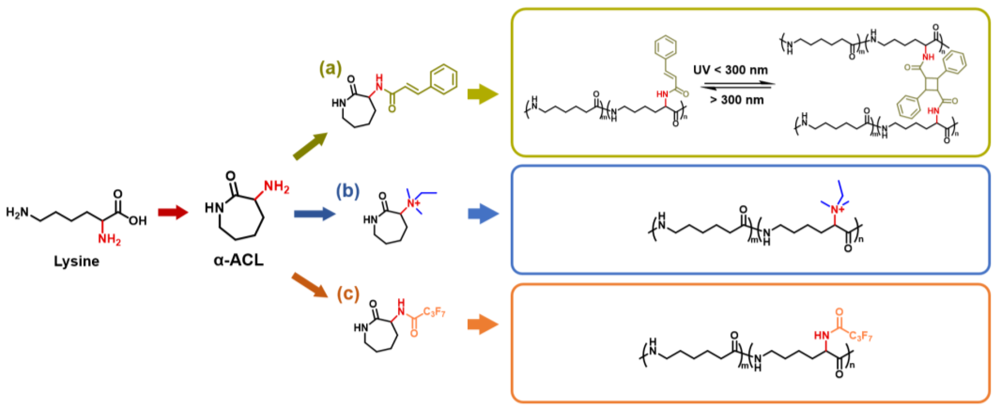 Catalysts 13 00056 g007