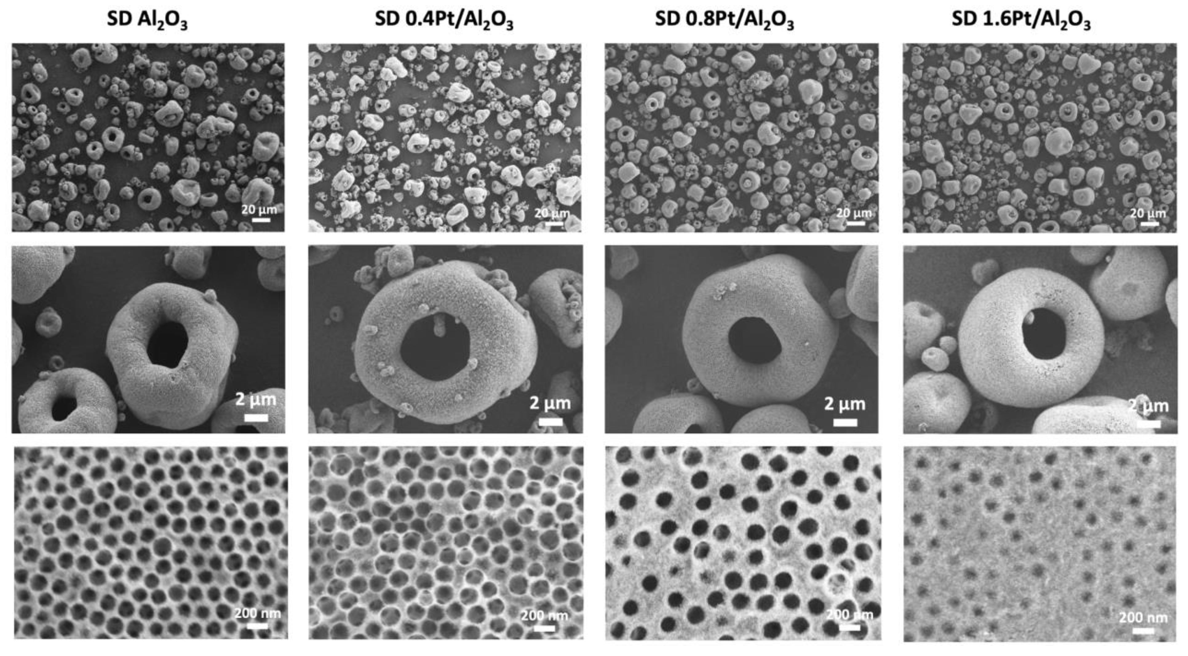 Catalysts 13 00060 g003